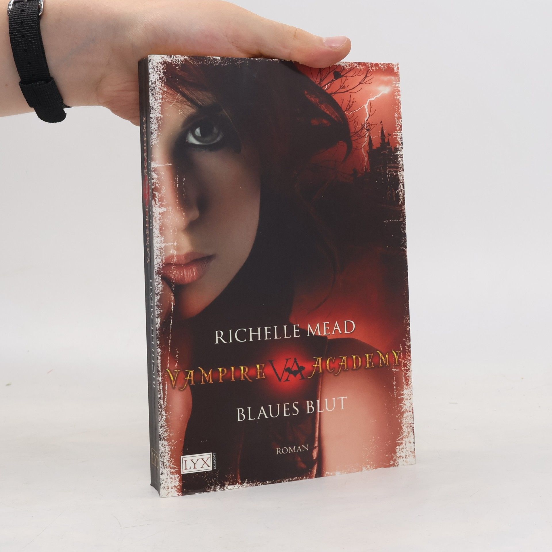 Richelle Mead Vampire Academy. Blaues Blut
