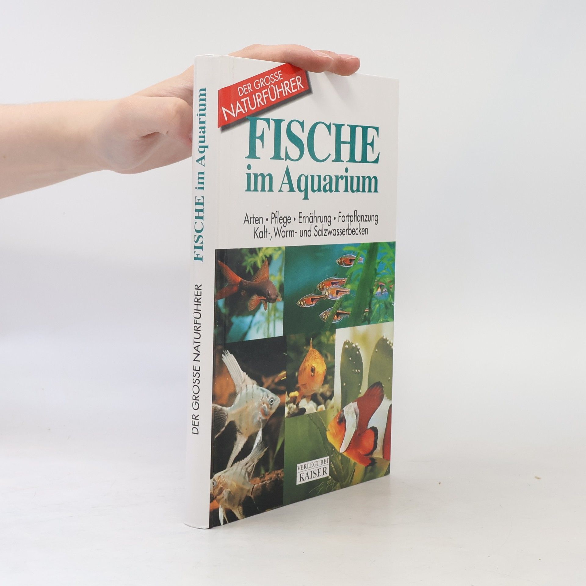 Mauro Mariani Fische im Aquarium