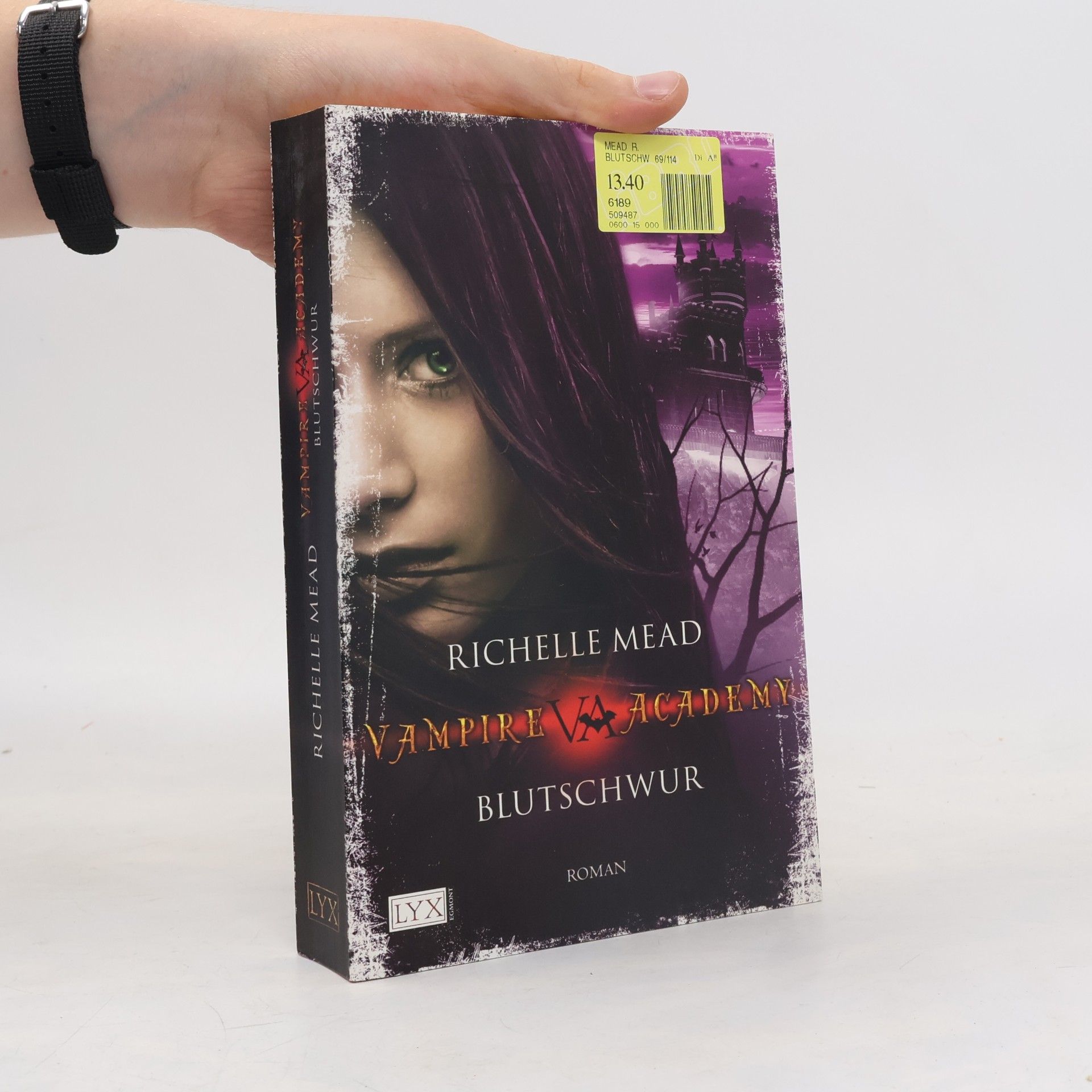 Richelle Mead Vampire Academy. Blutschwur