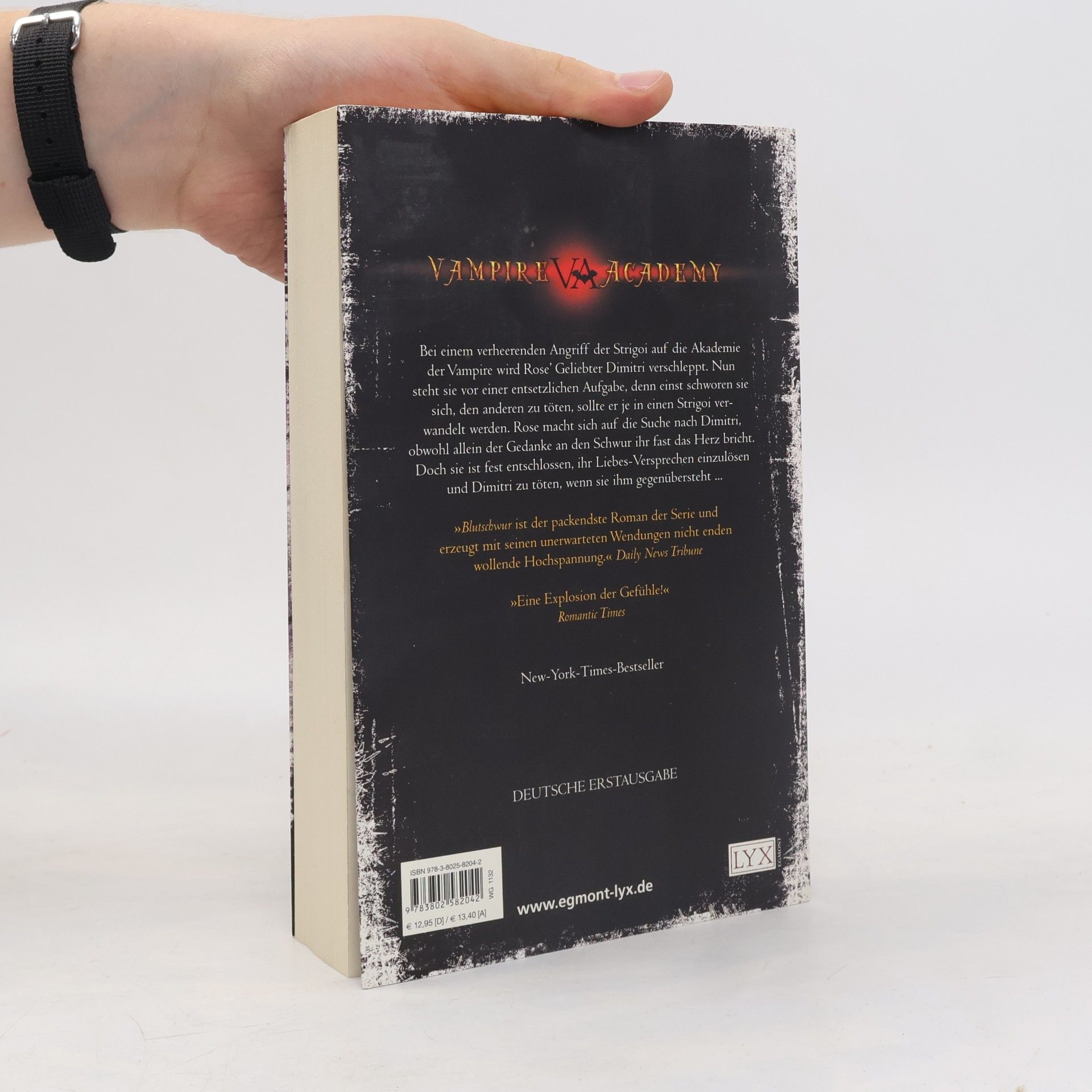 Richelle Mead Vampire Academy. Blutschwur