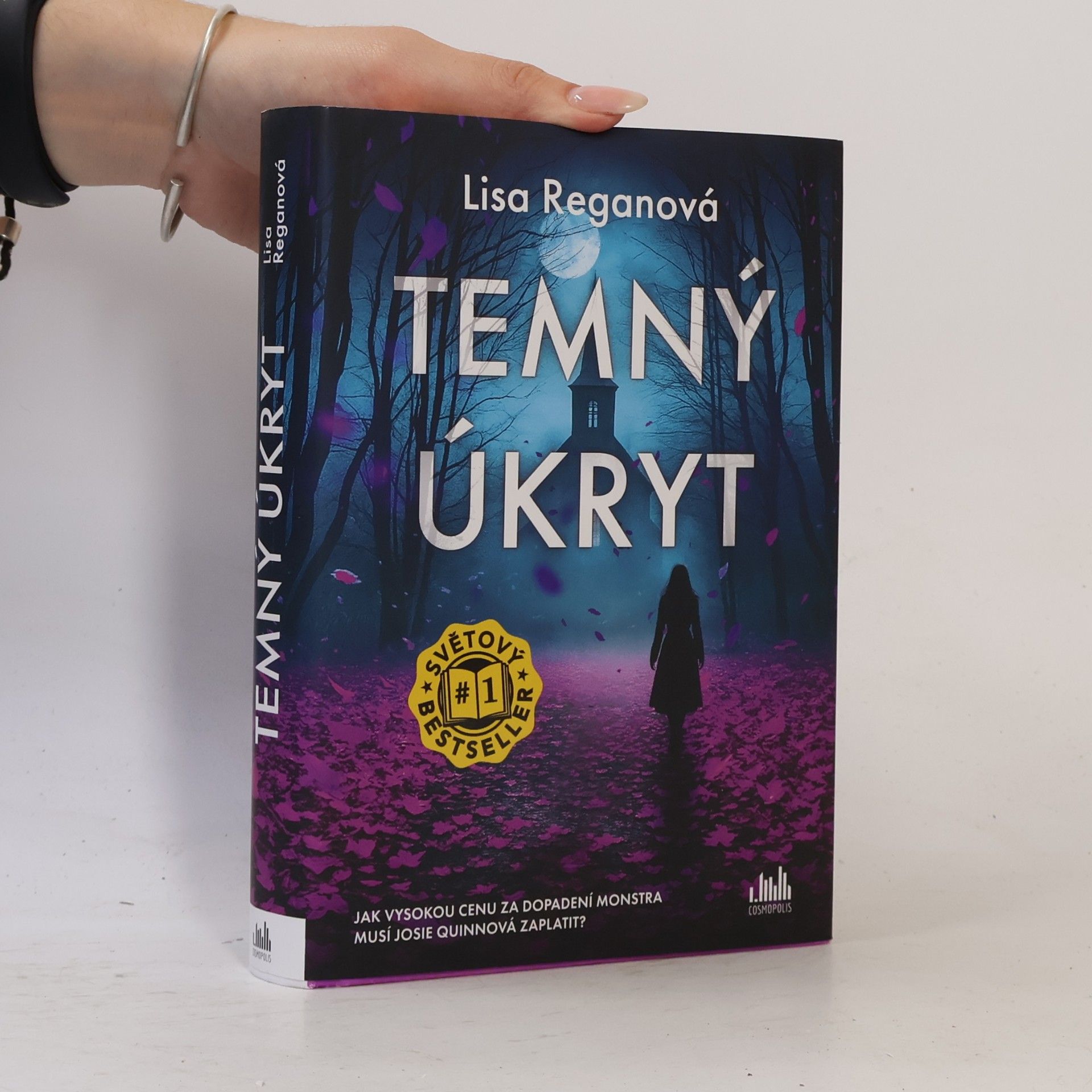 Lisa Regan Temný úkryt