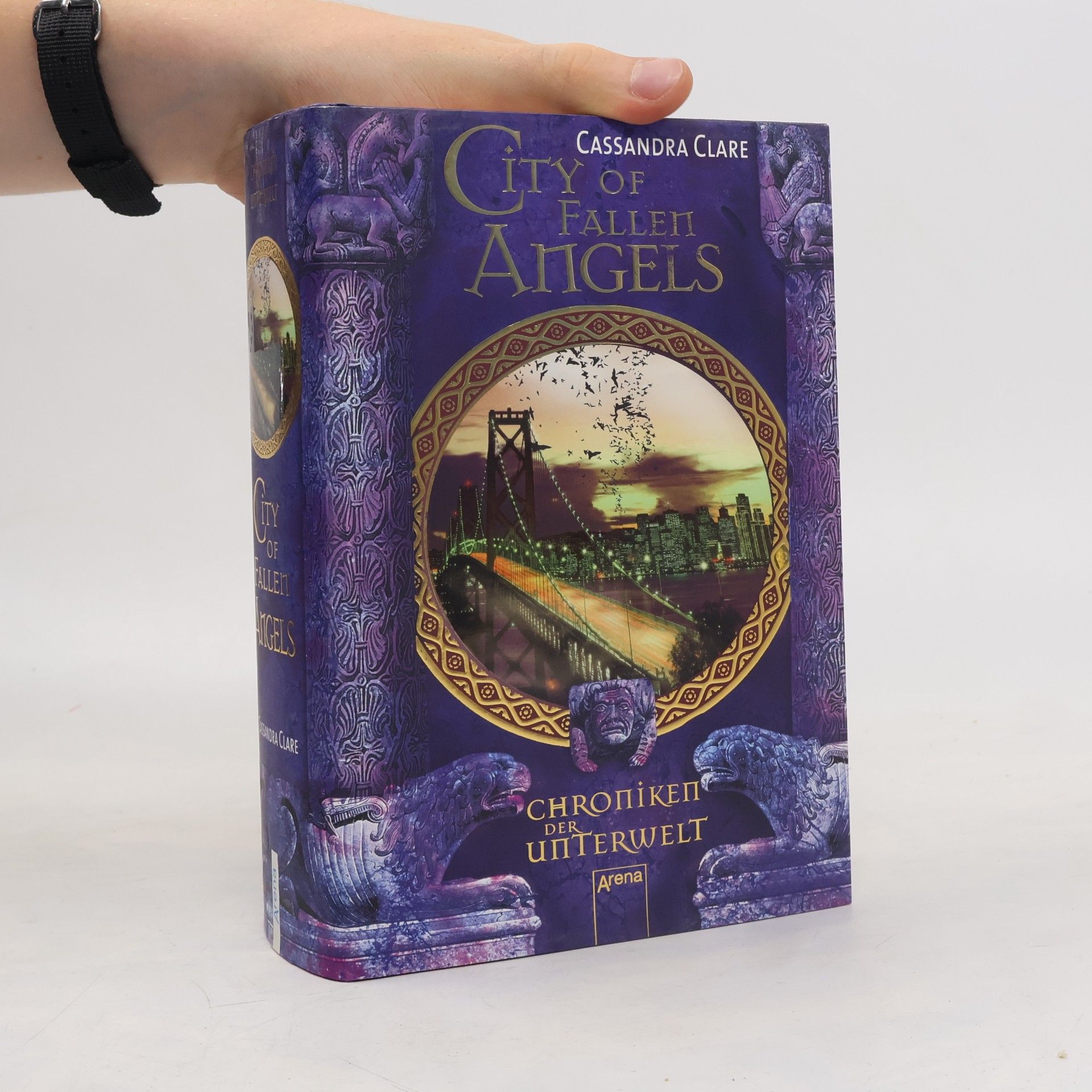 Cassandra Clare City of Fallen Angels