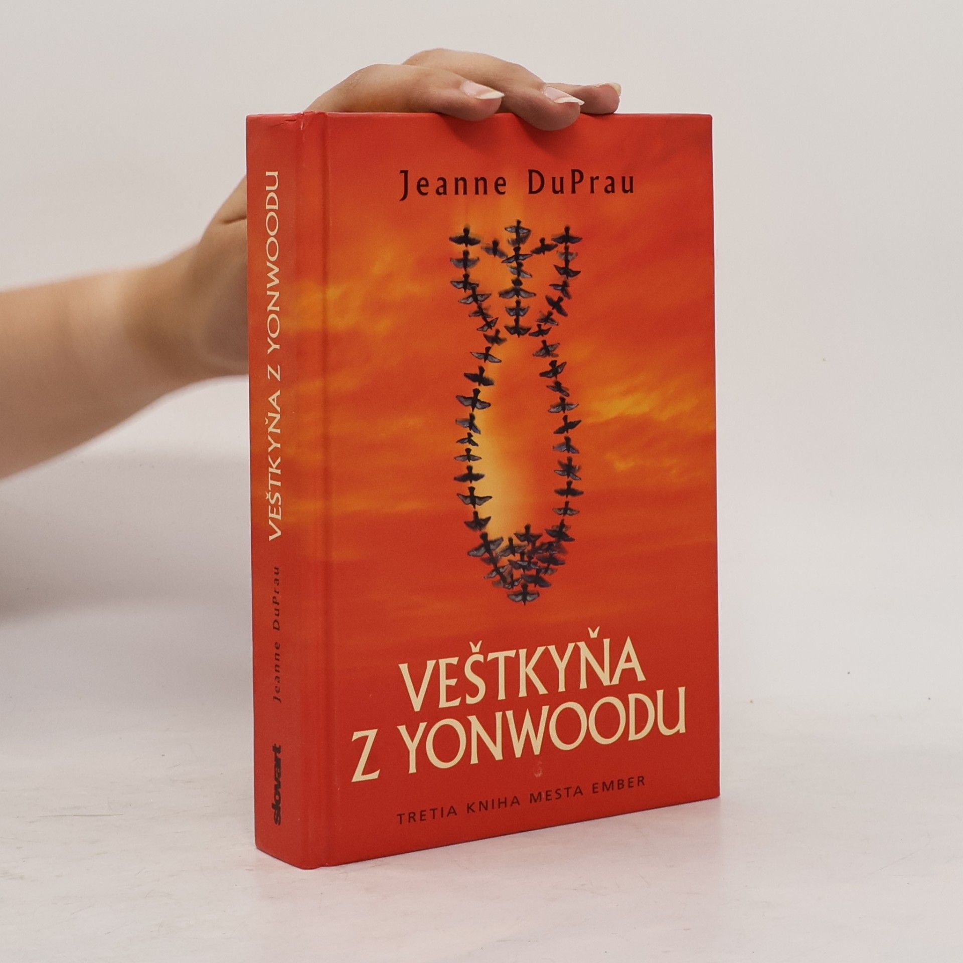 Jeanne DuPrau Veštkyňa z Yonwoodu