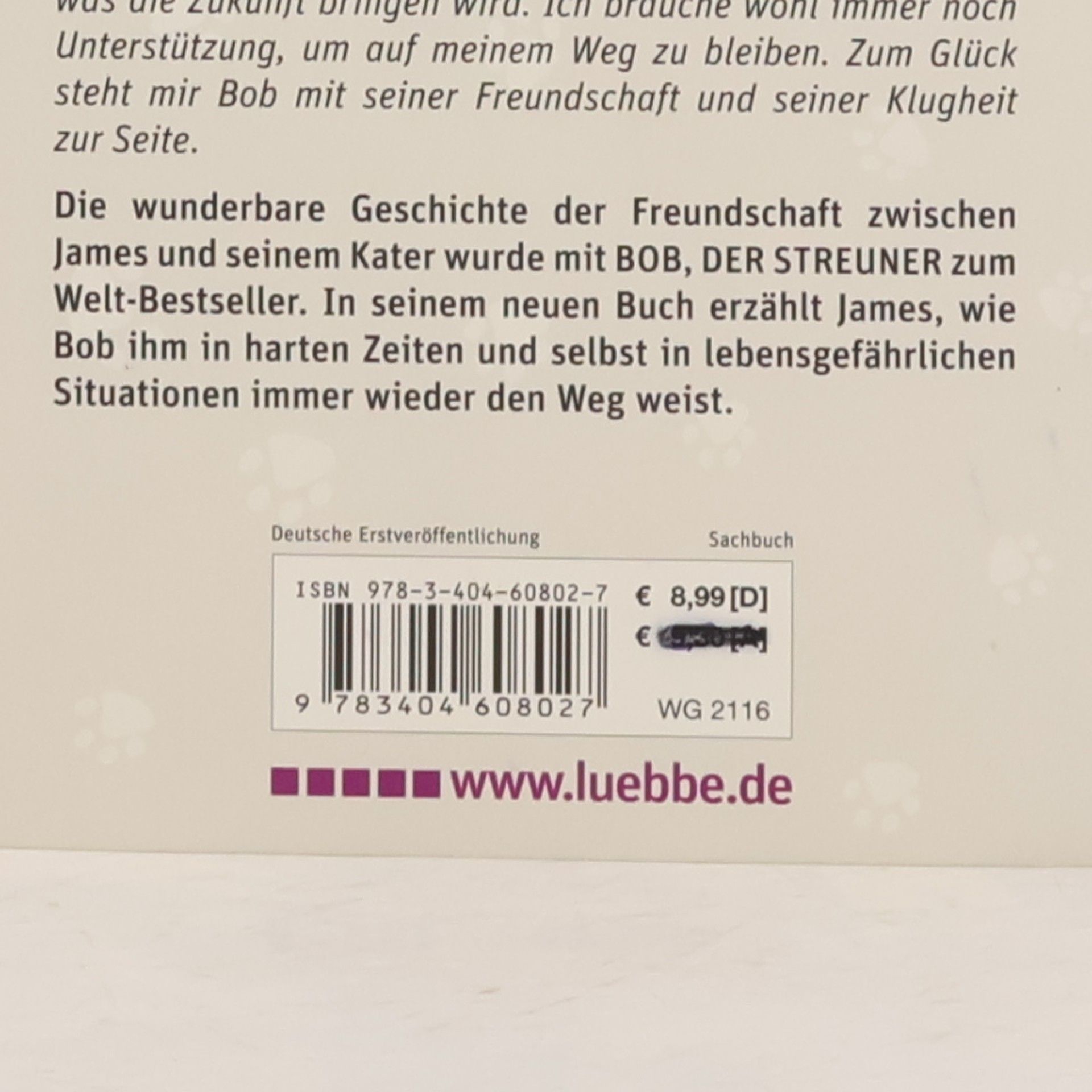 James Bowen Bob und wie er die Welt sieht