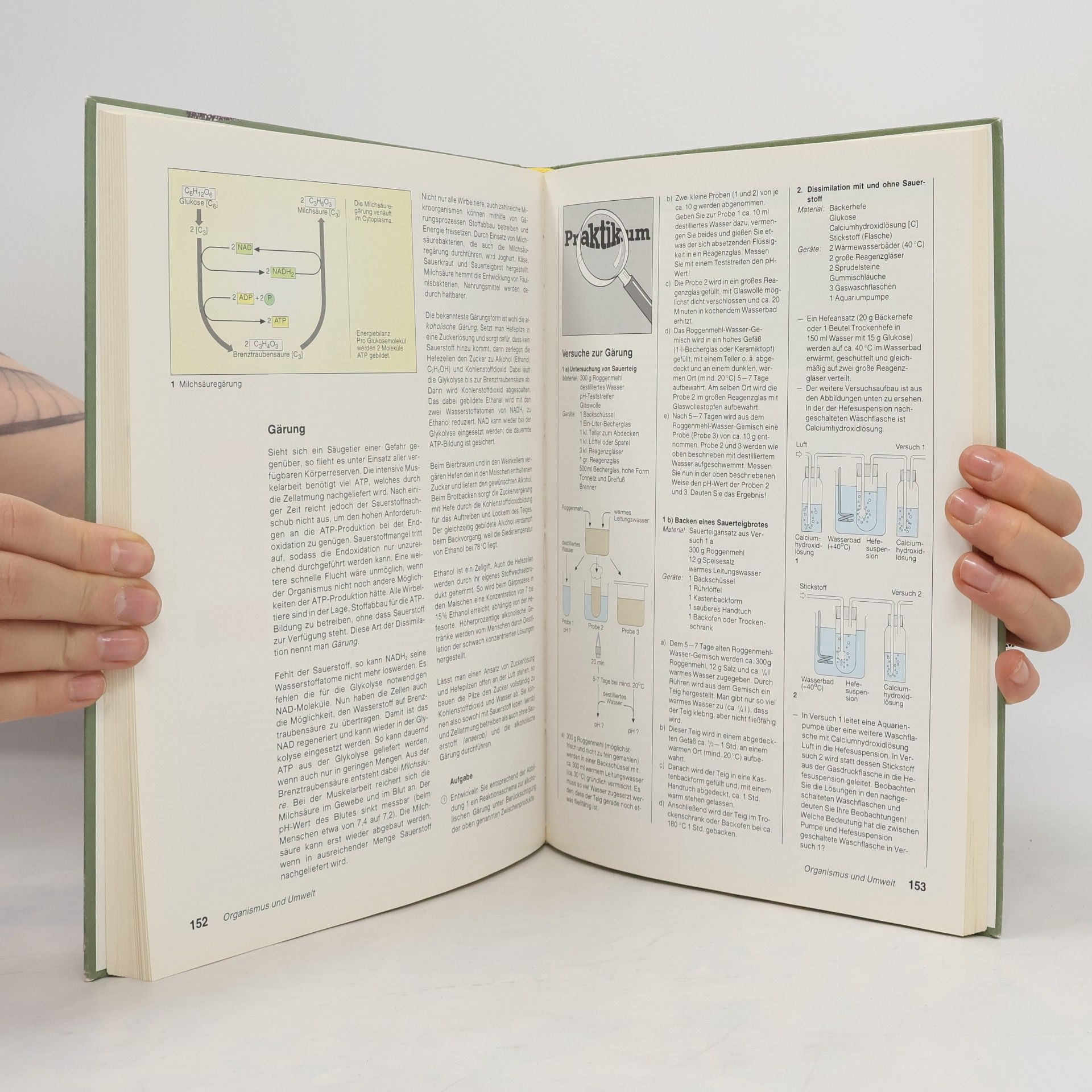 Horst Bickel Natura - Biologie für Gymnasien