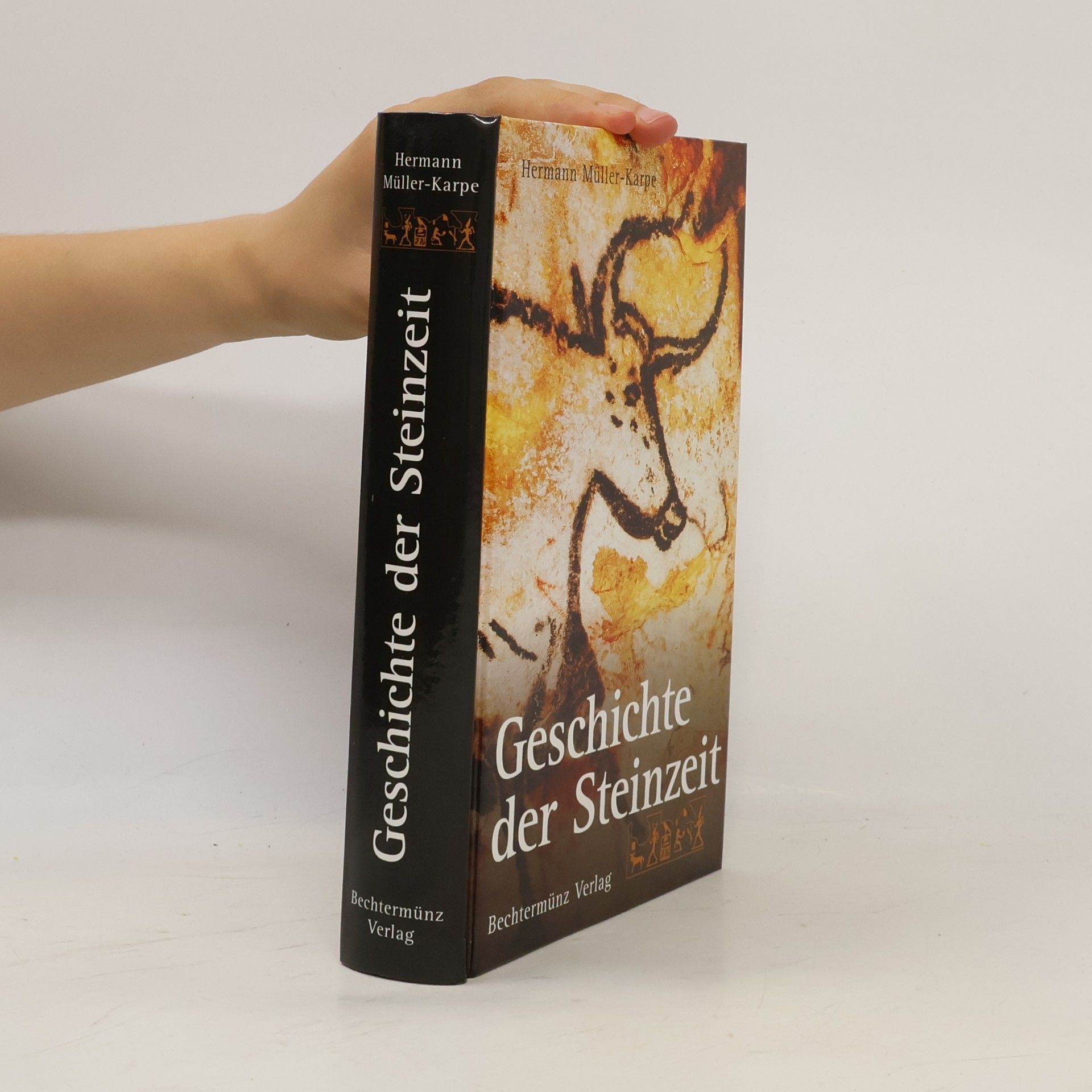 Hermann Müller-Karpe Geschichte der Steinzeit