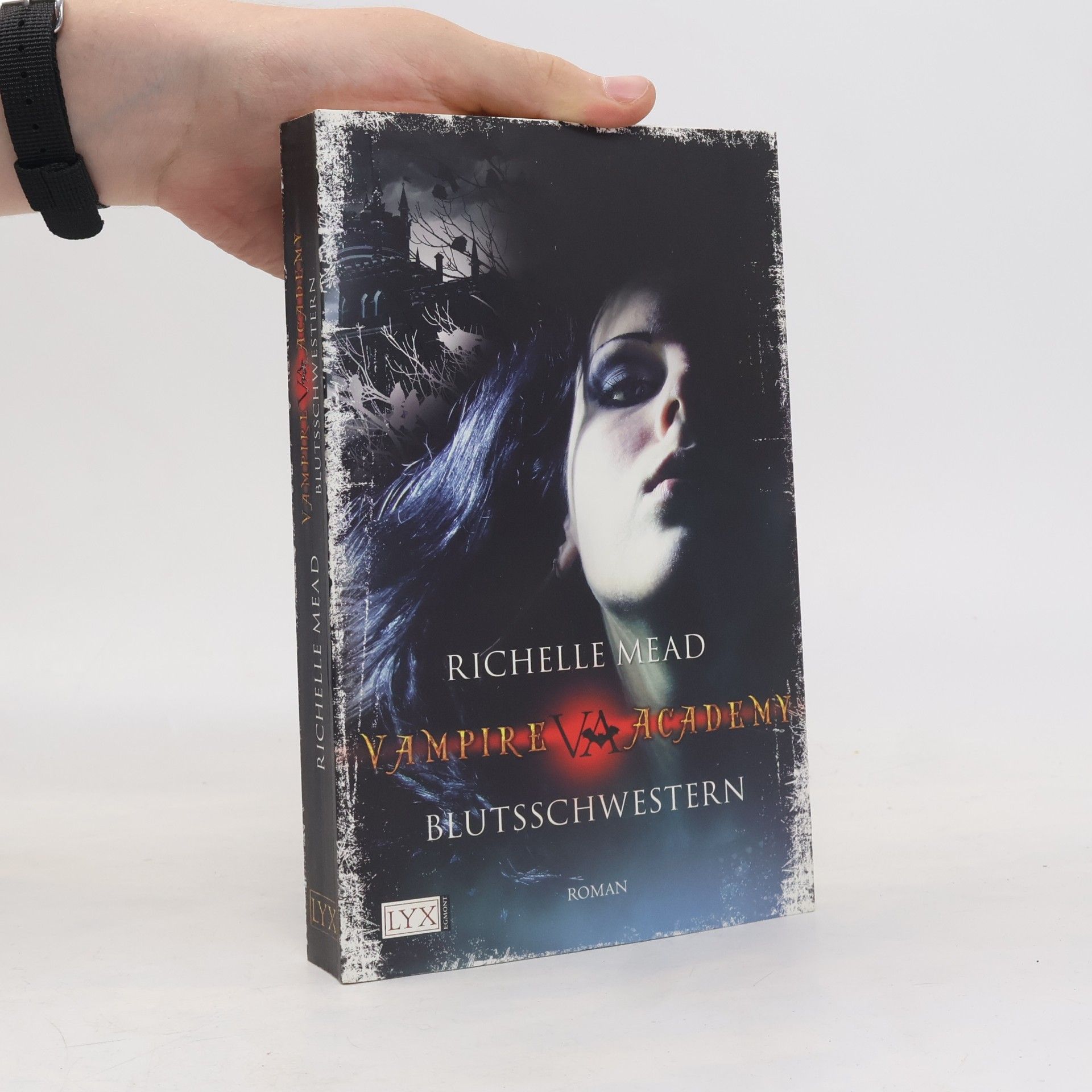 Richelle Mead Vampire Academy
