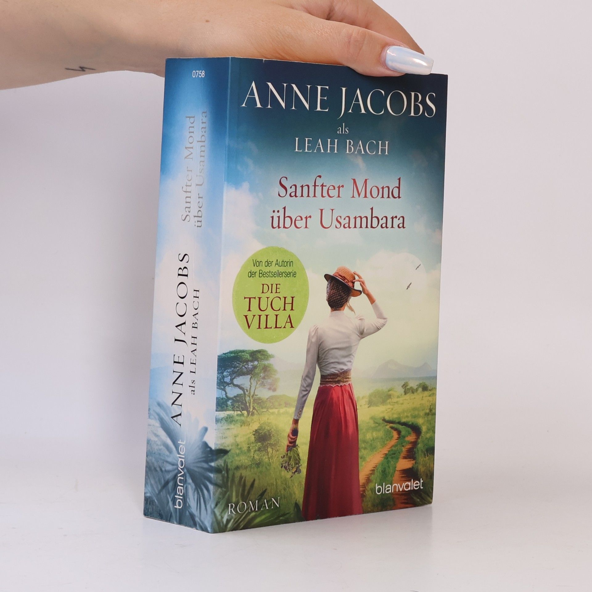 Anne Jacobs Sanfter Mond über Usambara