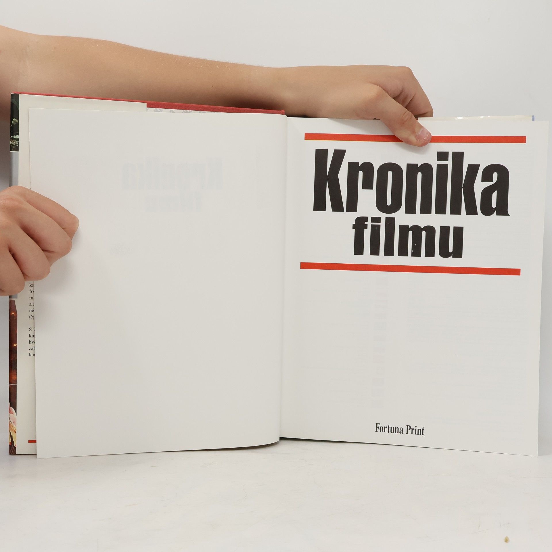 Autorenkollektiv Kronika filmu
