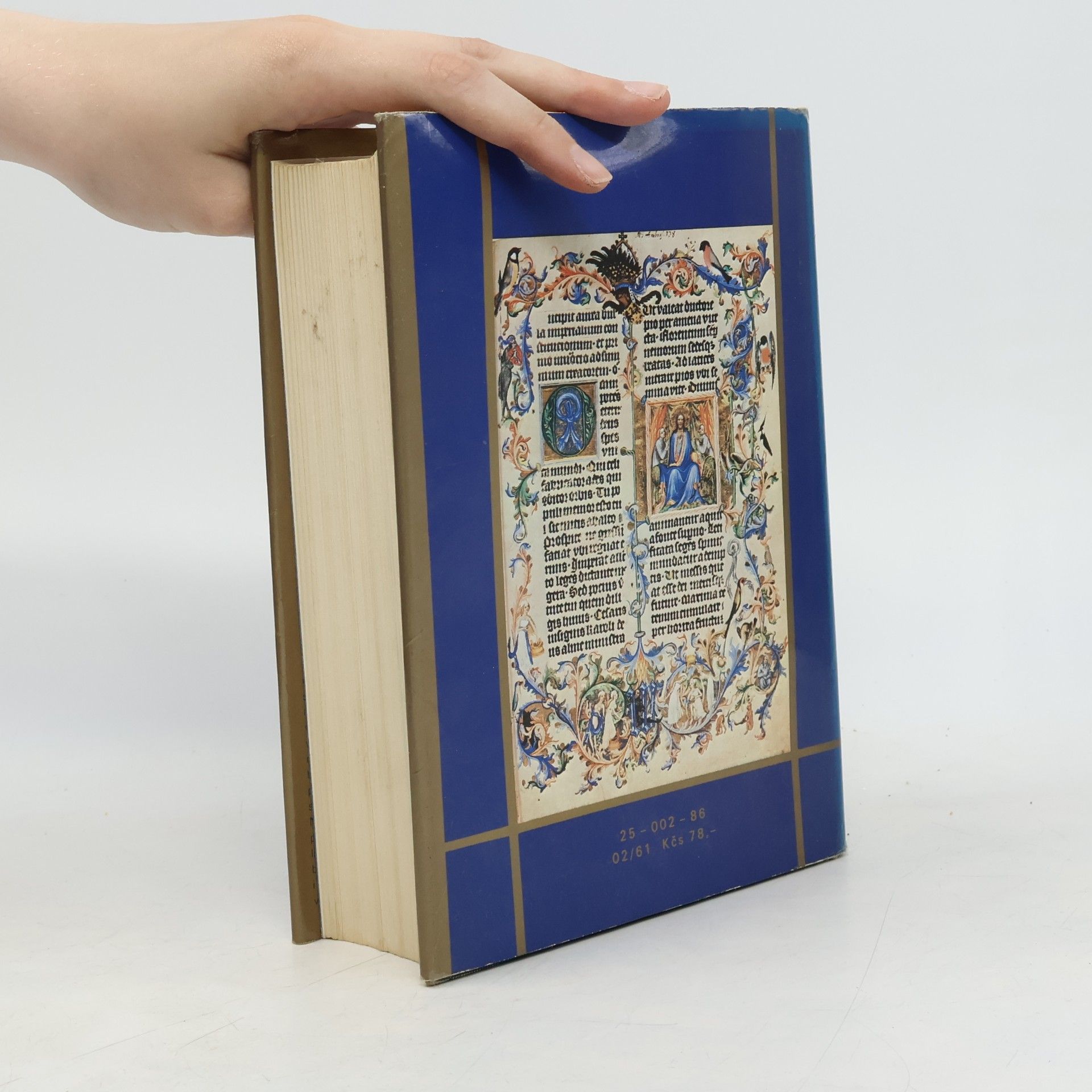Jiří Spěváček Václav IV. 1361-1419