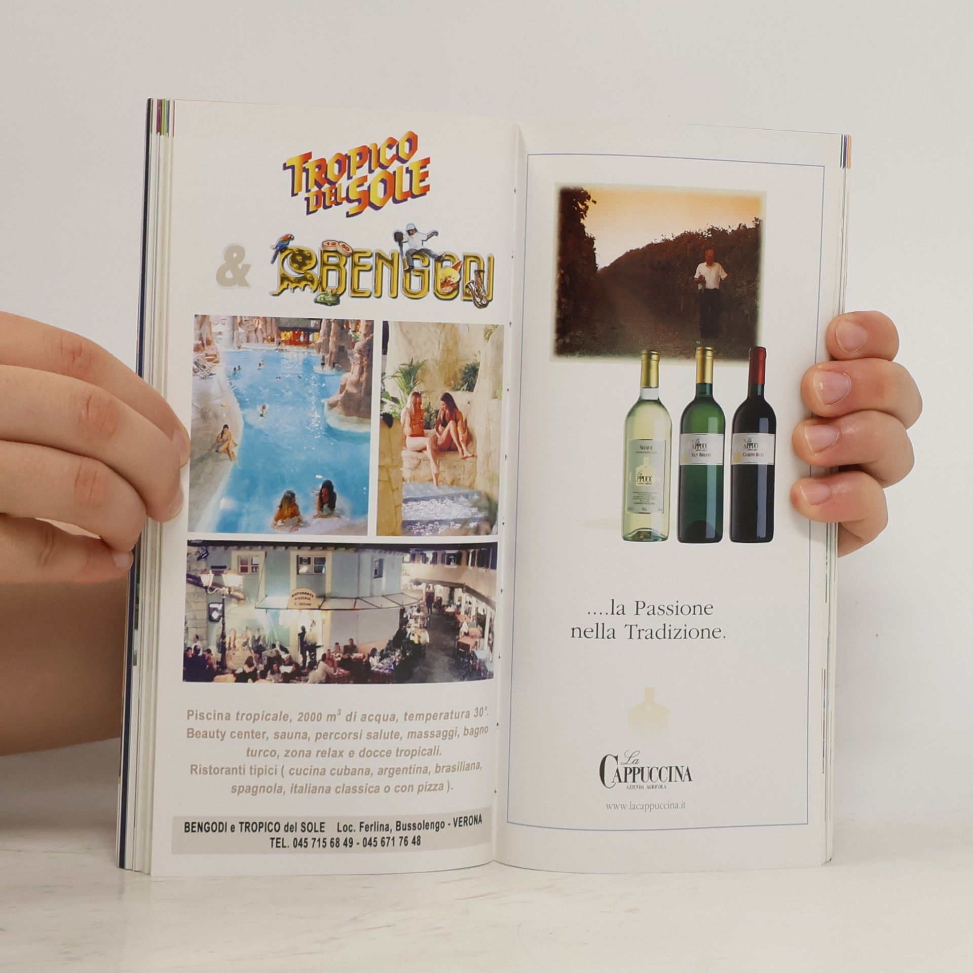 Kolektiv autorů Guida di Verona al Vinitaly