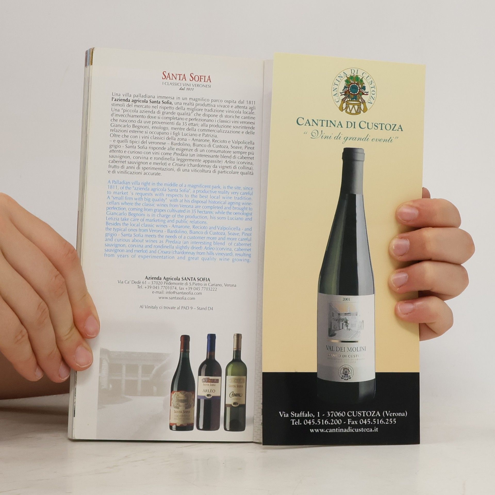 Kolektiv autorů Guida di Verona al Vinitaly
