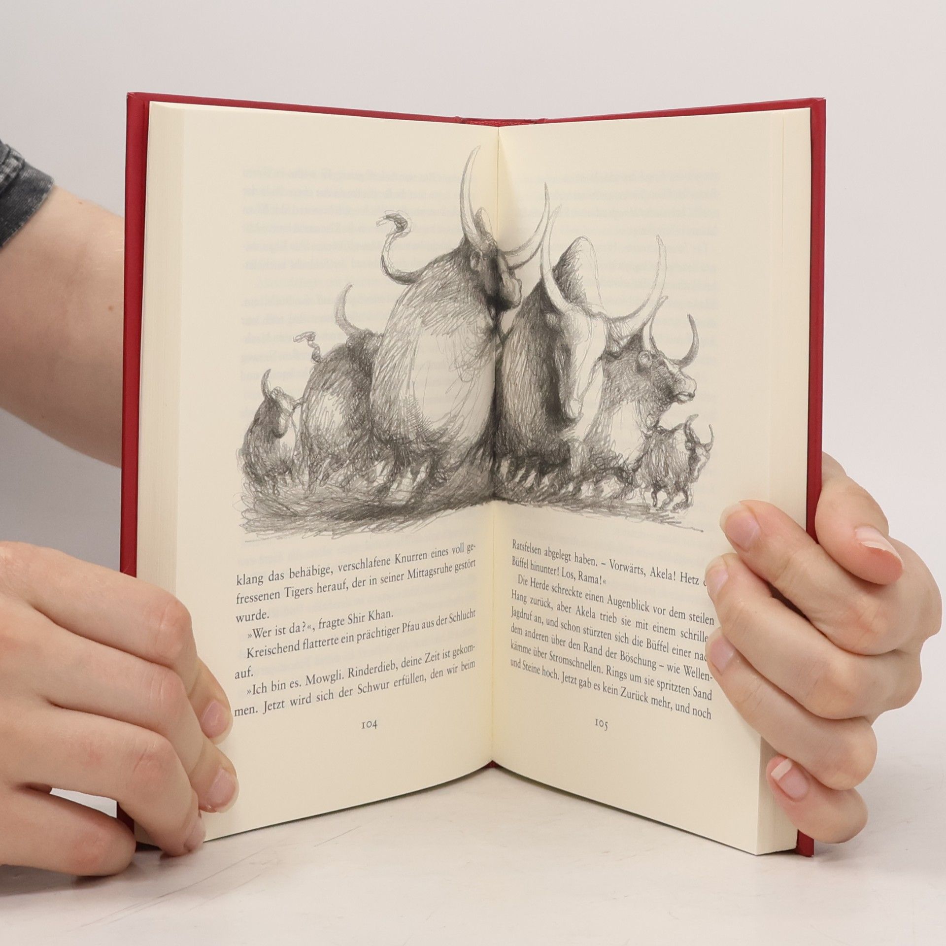 Rudyard Kipling Das Dschungelbuch