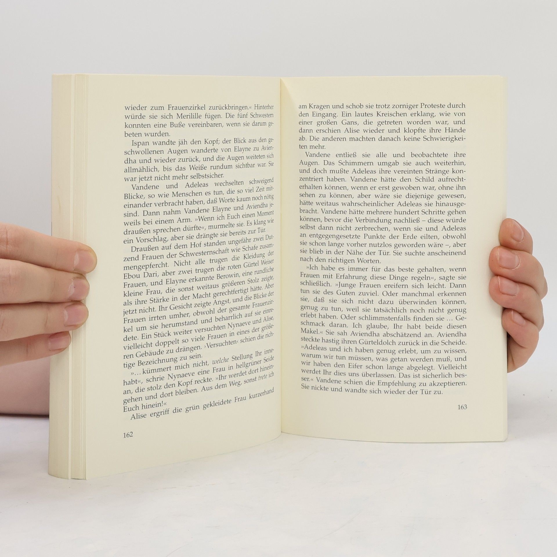 Robert Jordan Der Pfad der Dolche