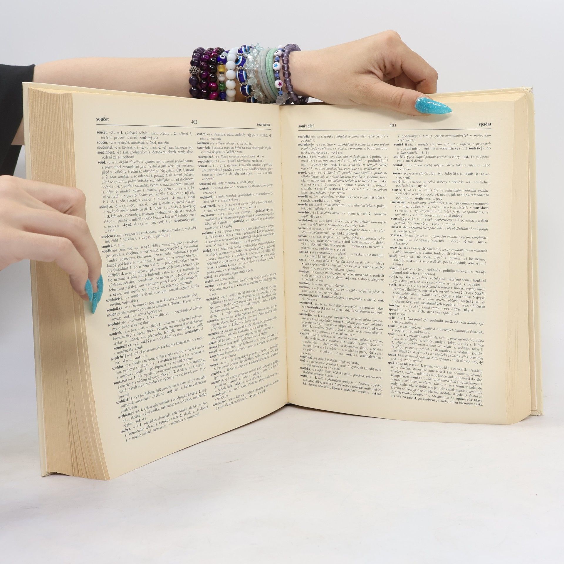 Various authors Slovník spisovné češtiny pro školu a veřejnost