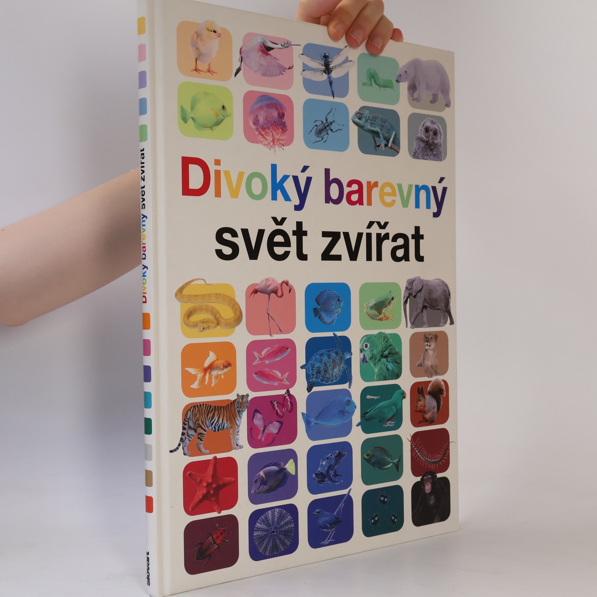 Anita Ganeri Divoký barevný svět zvířat