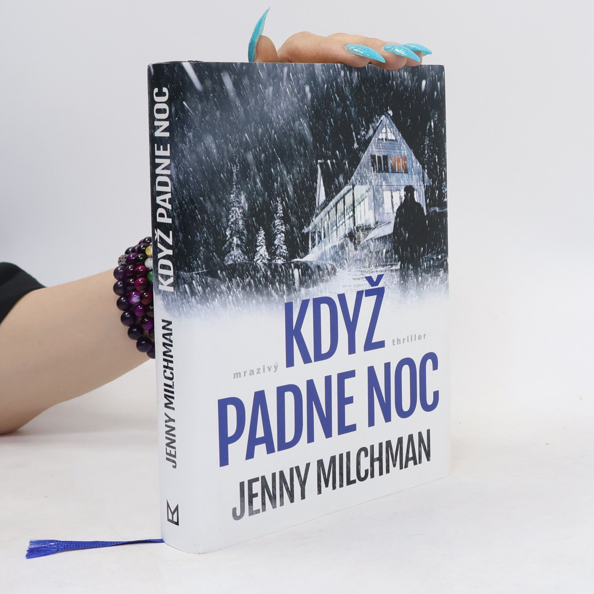 Jenny Milchman Když padne noc