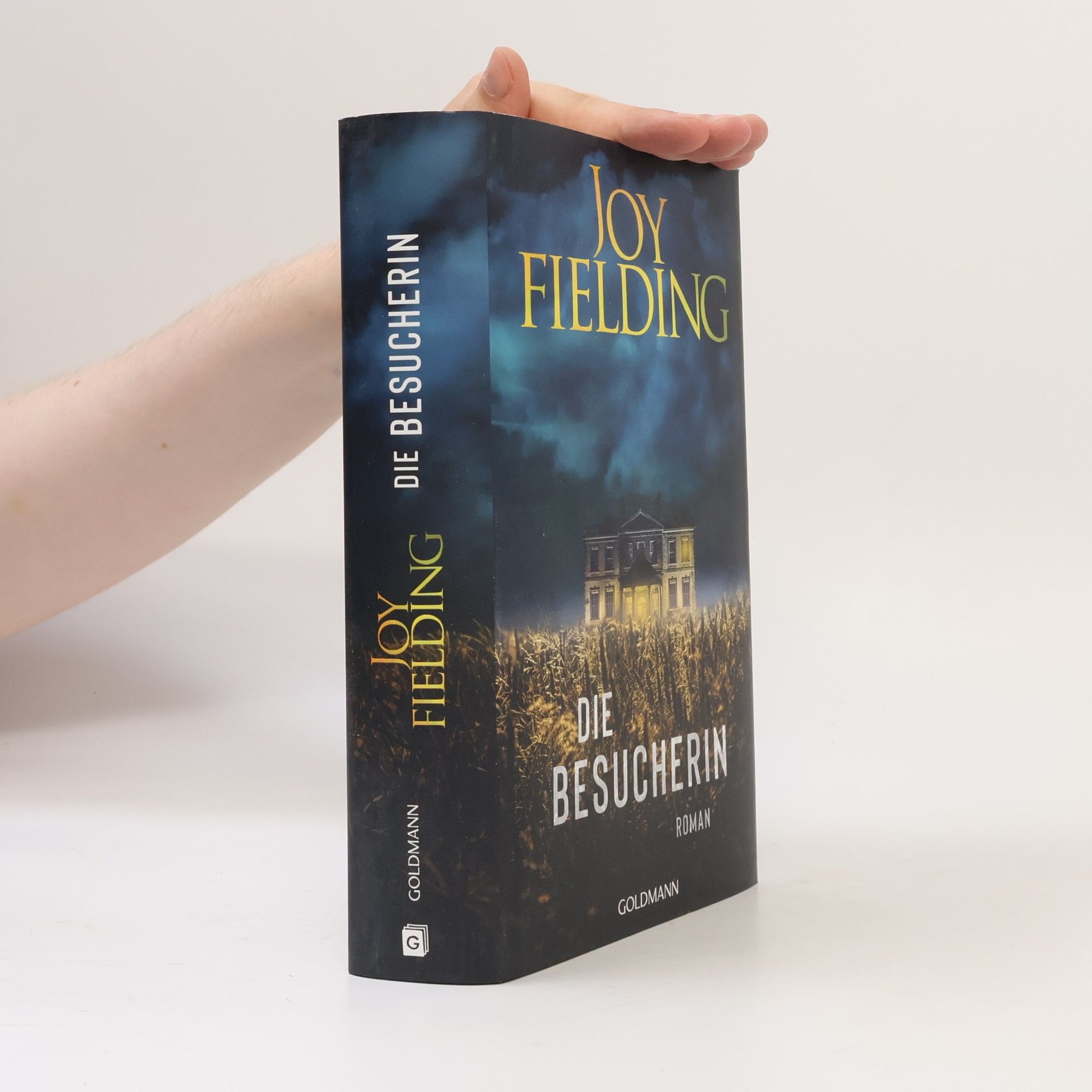 Joy Fielding Die Besucherin