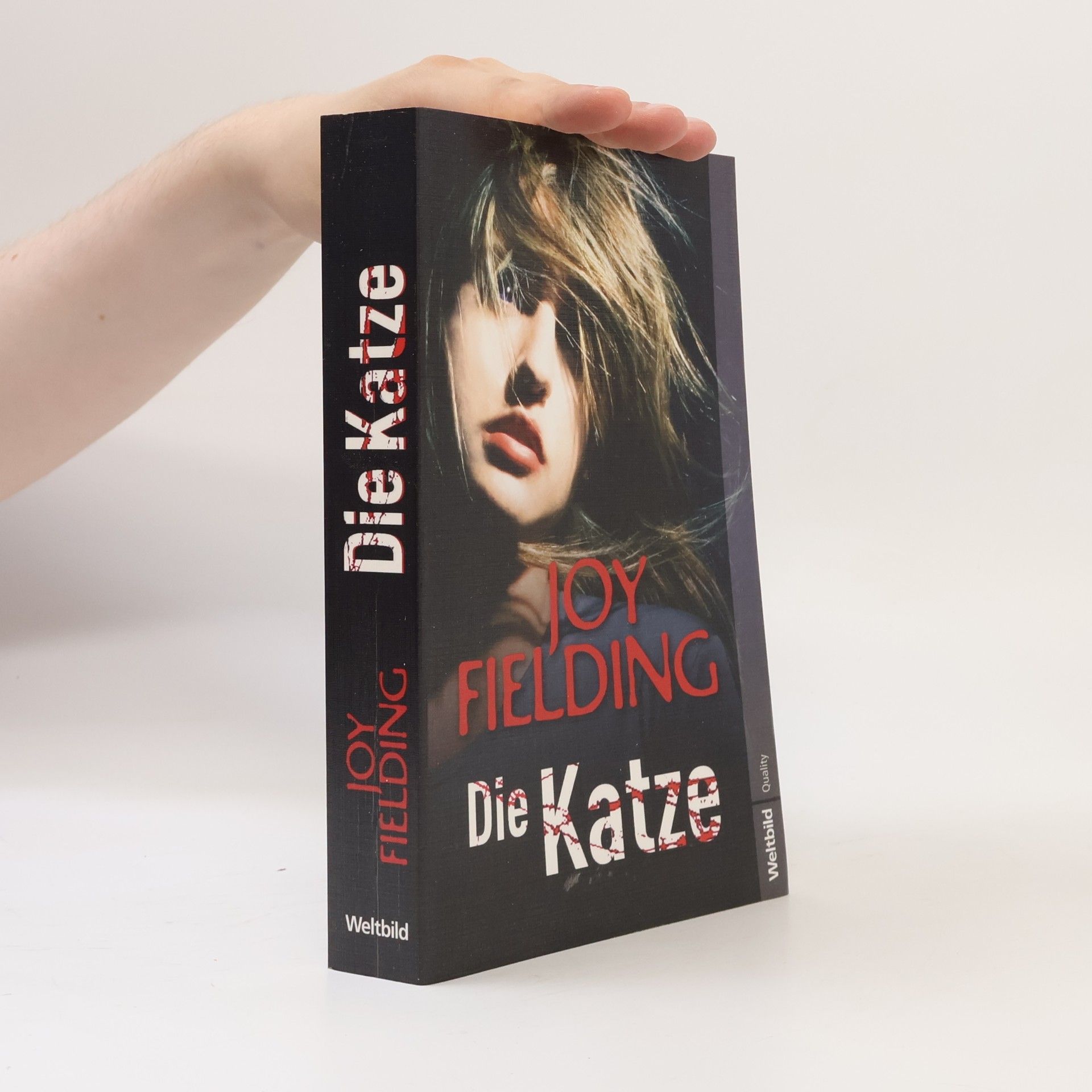 Joy Fielding Die Katze