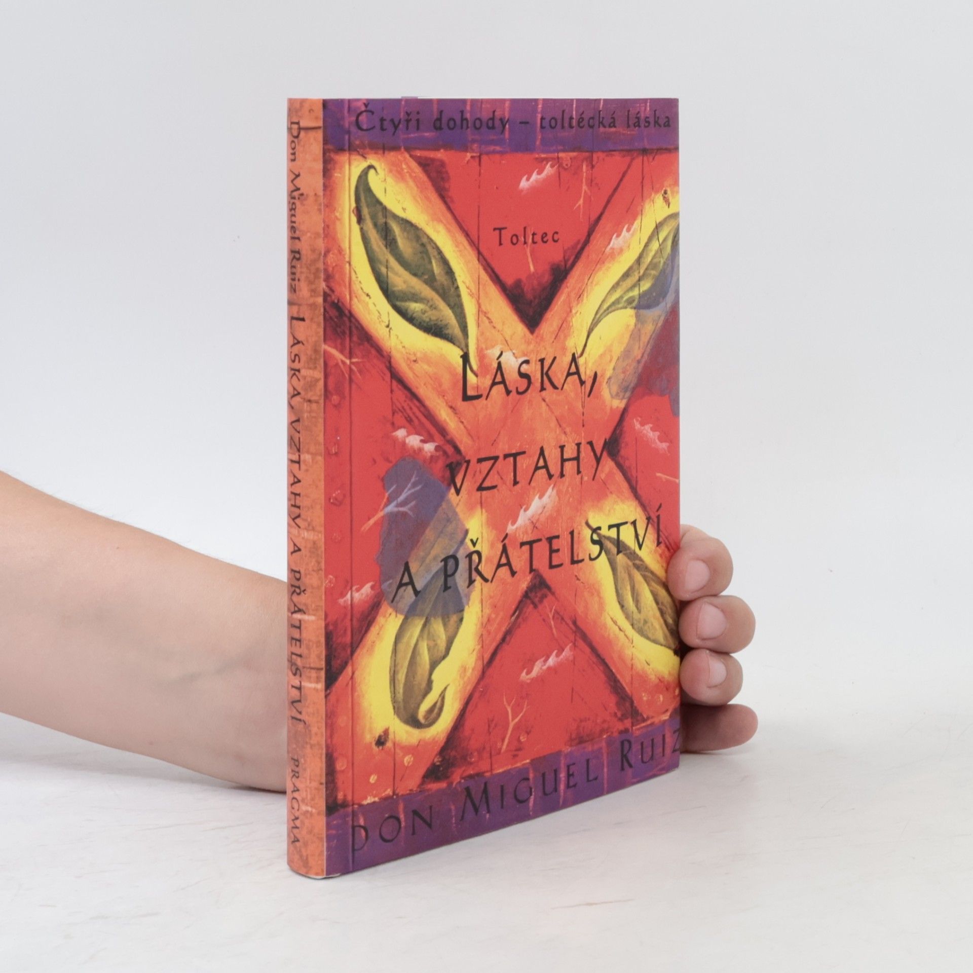 Don Miguel Ruiz Láska, vztahy a přátelství
