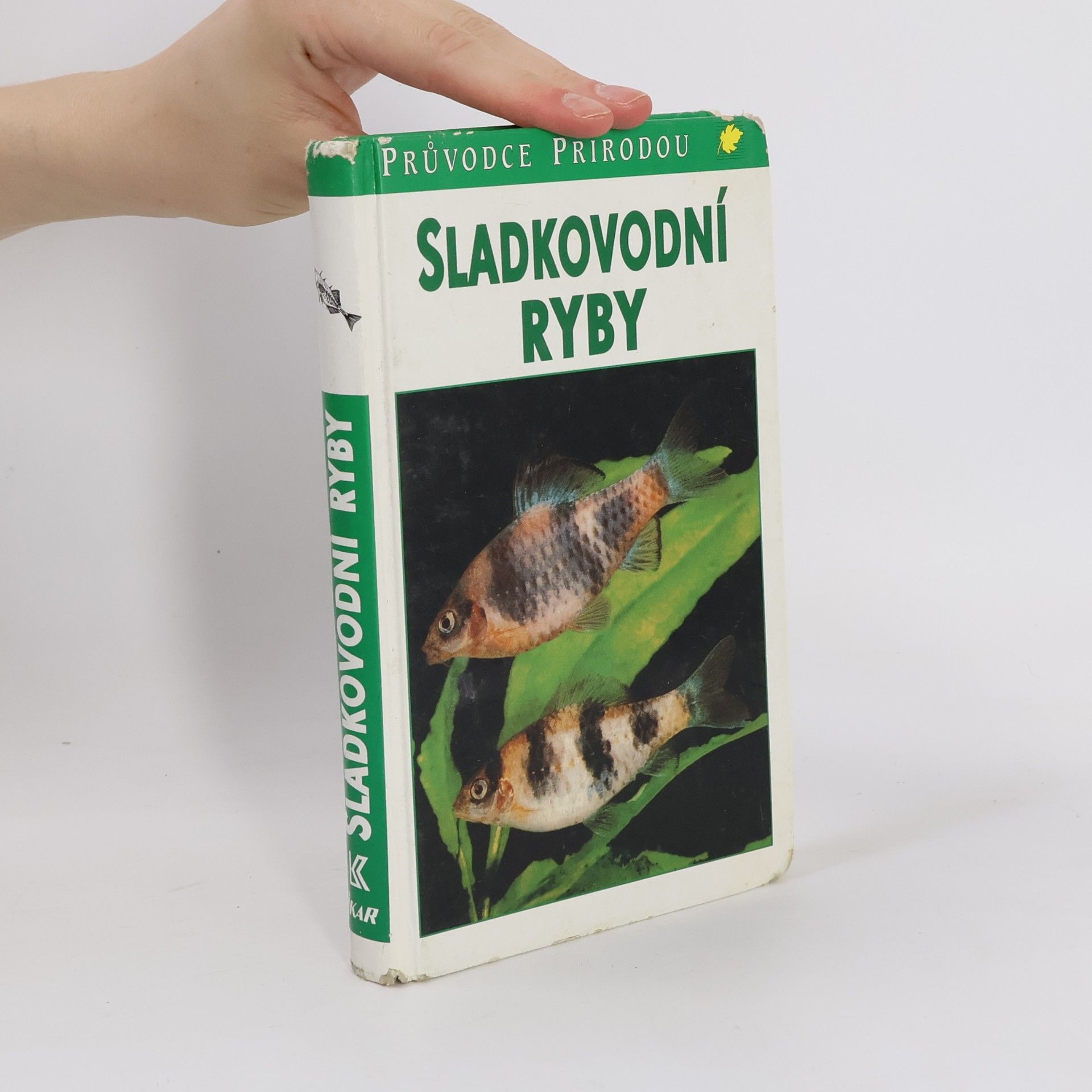 Autorenkollektiv Sladkovodní ryby v evropských vodách