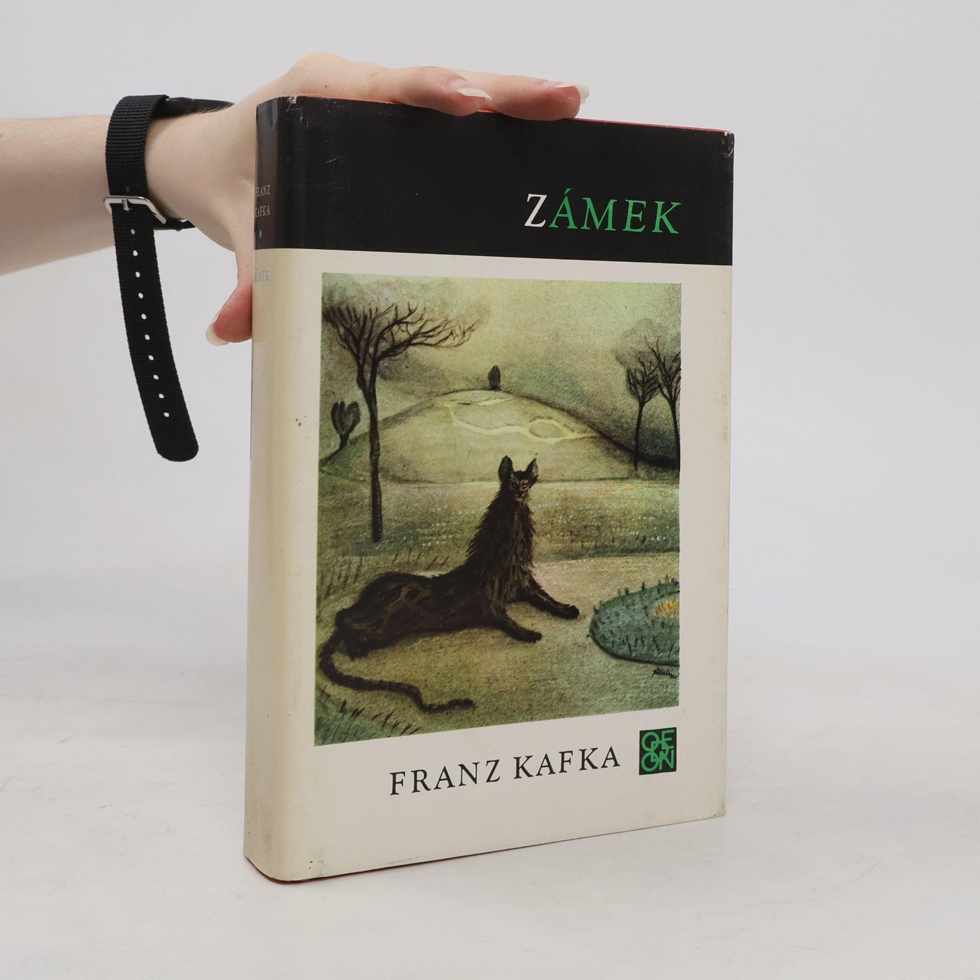 Franz Kafka Zámek