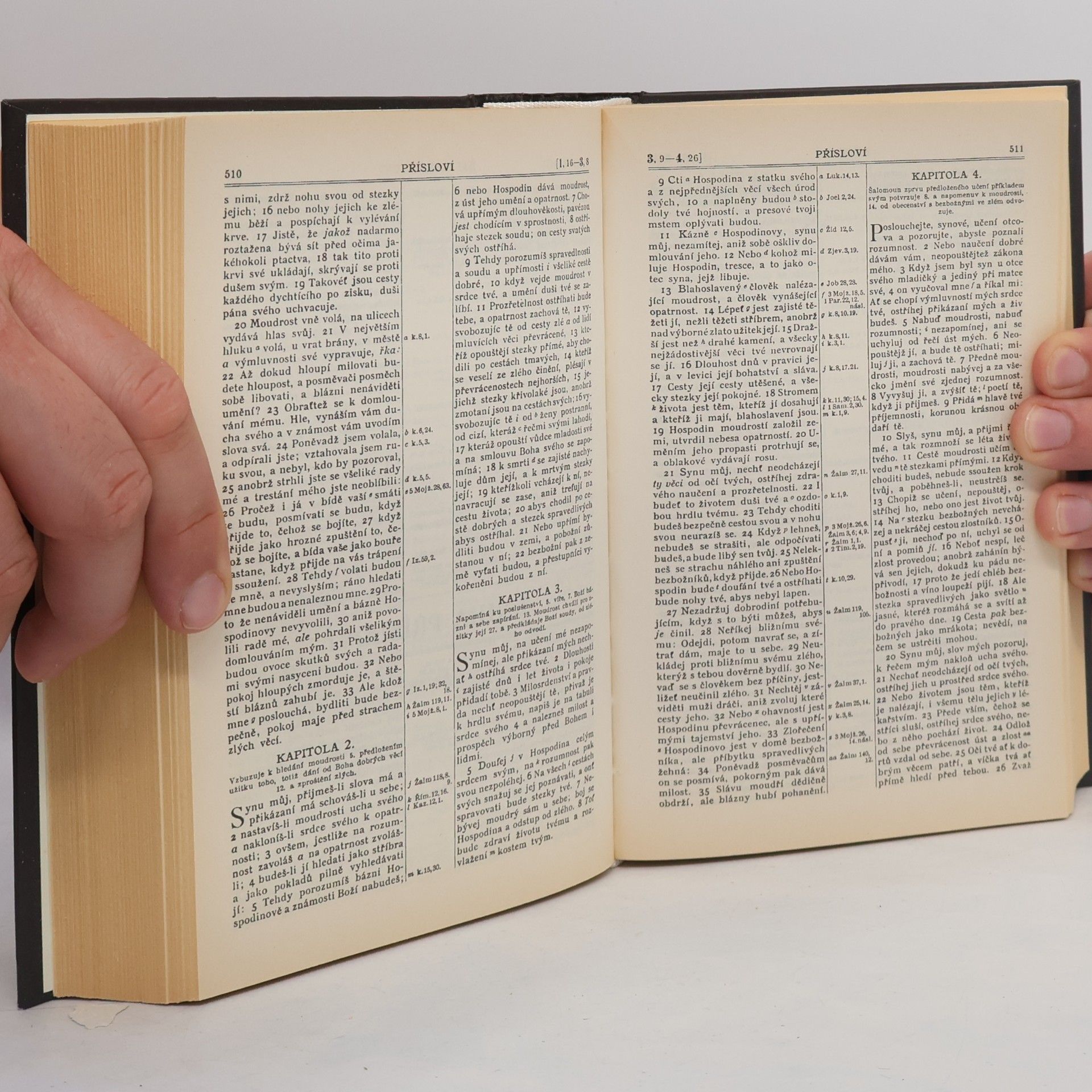 Collectif d'auteurs Bible svatá aneb všecka svatá písma Starého i Nového zákona