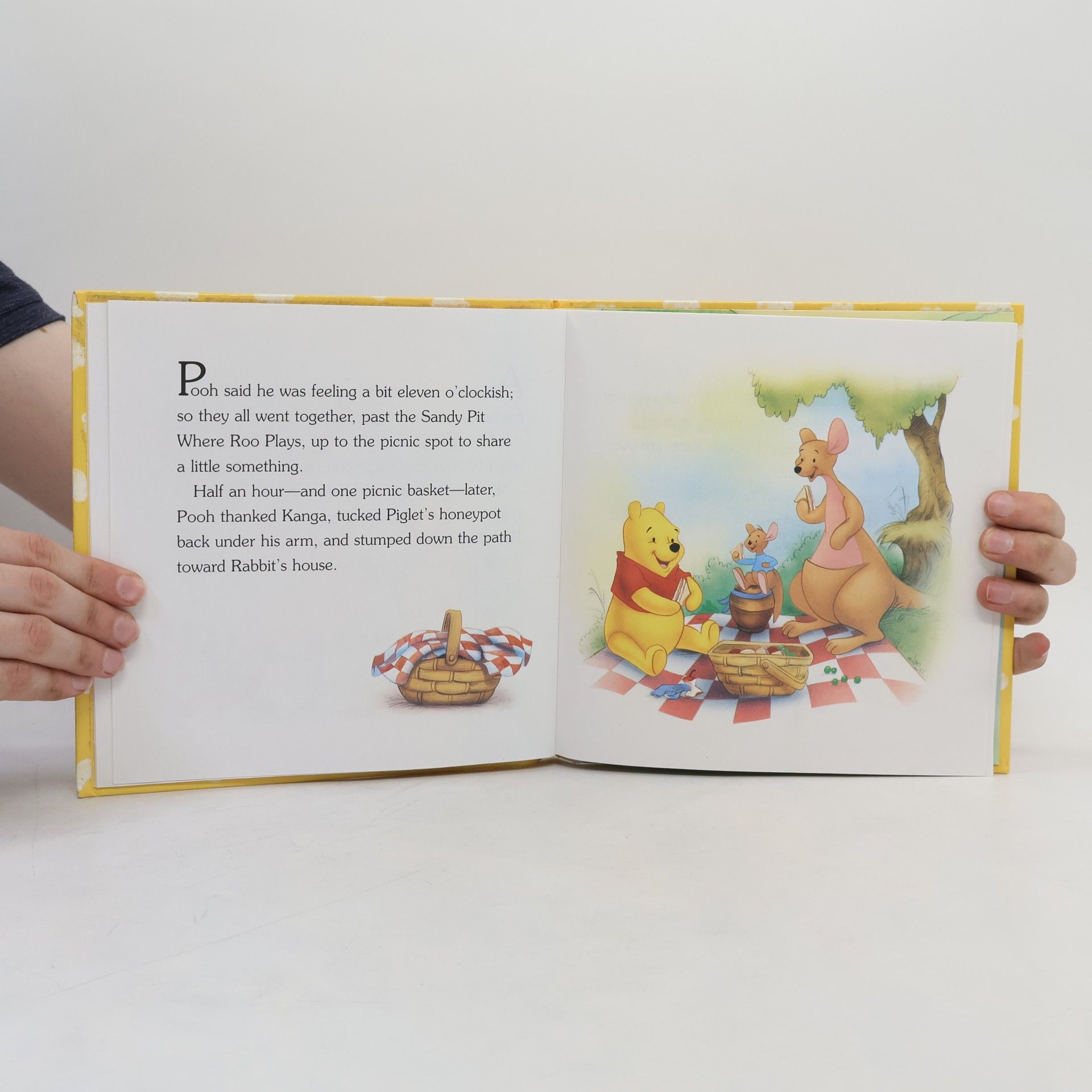 Robbin Cuddy My Very First Winnie the Pooh: Pooh's Neighborhood