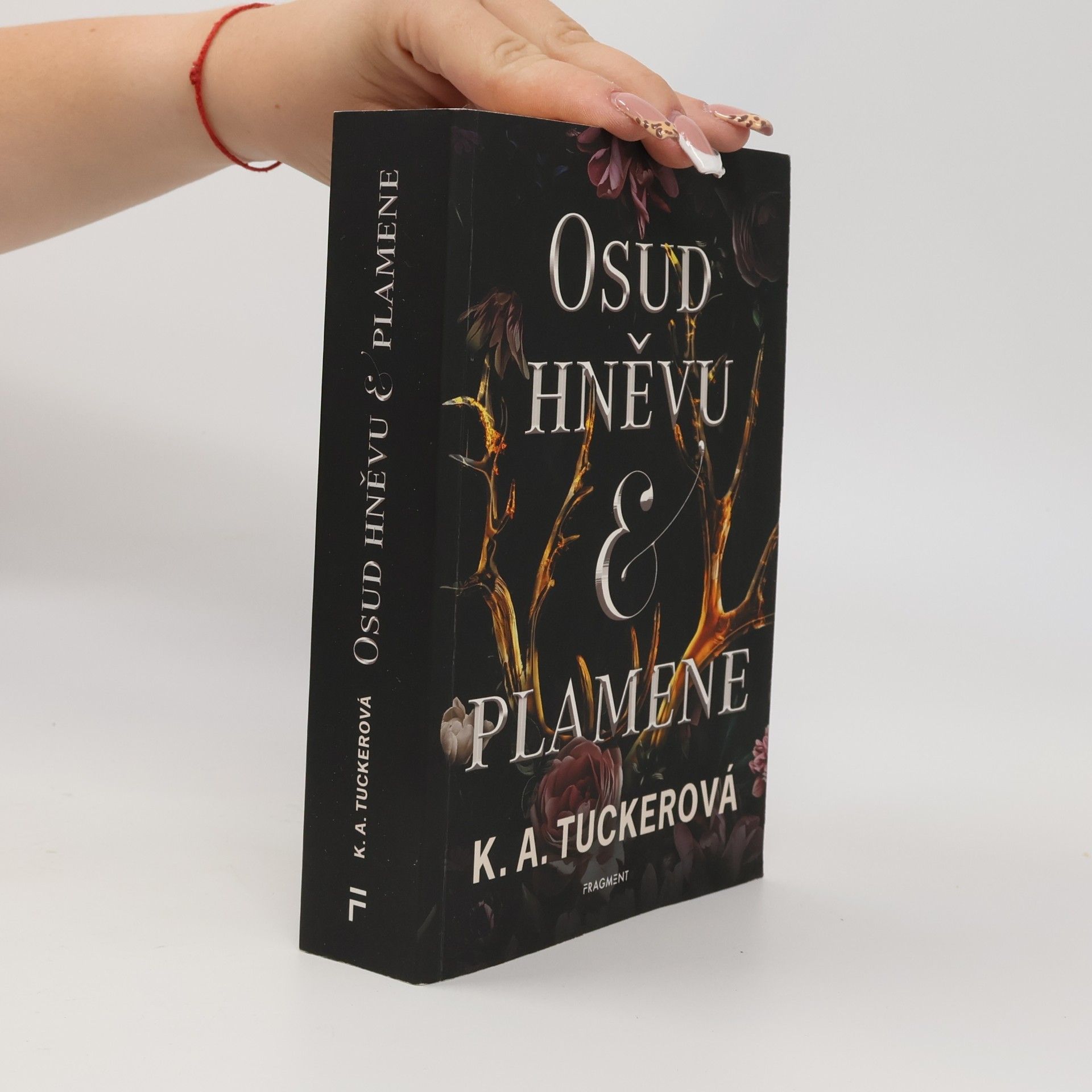K.A. Tucker Osud hněvu & plamene