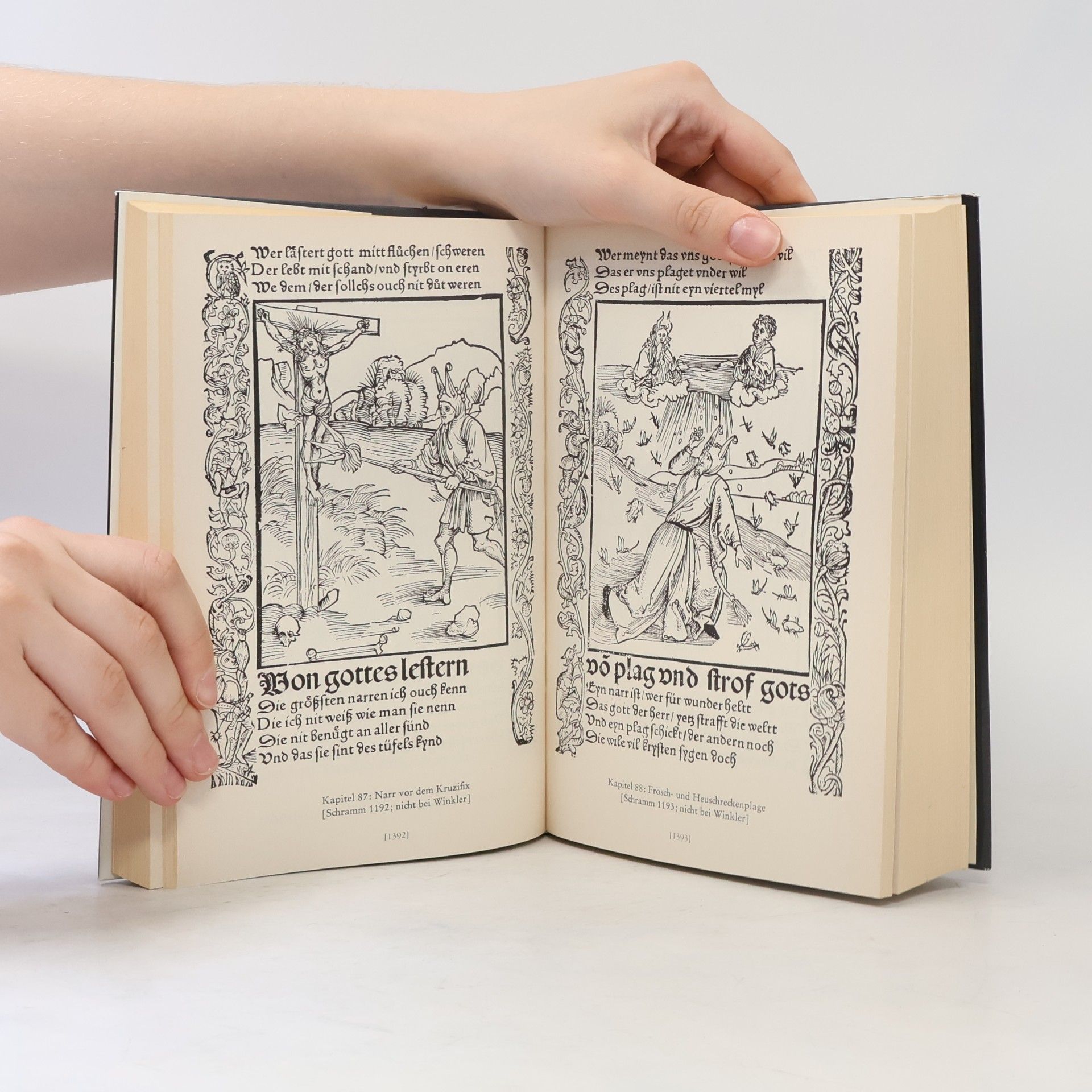Albrecht Dürer Das gesamte graphische Werk II.