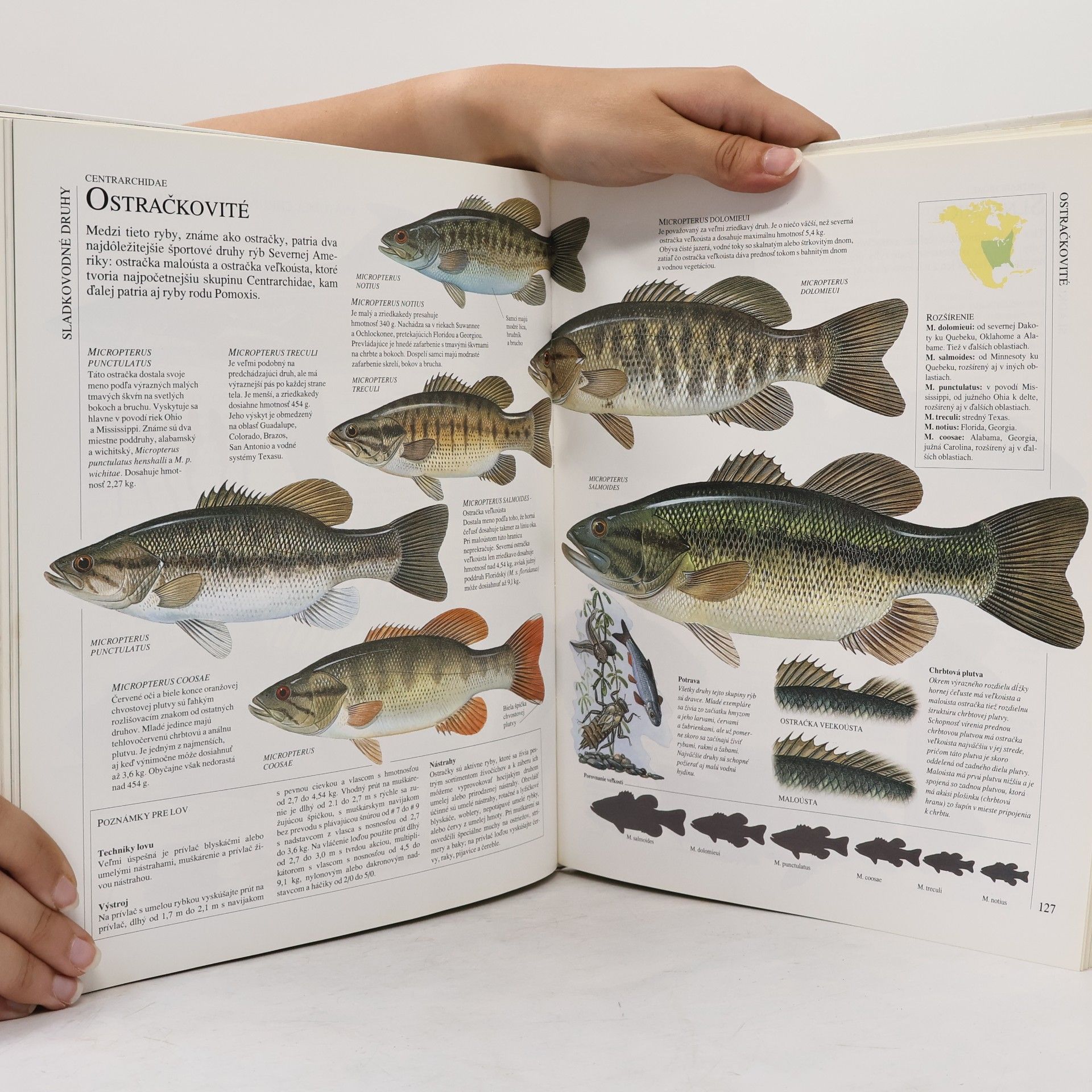 Various authors Veľká obrazová encyklopédia rybárstva