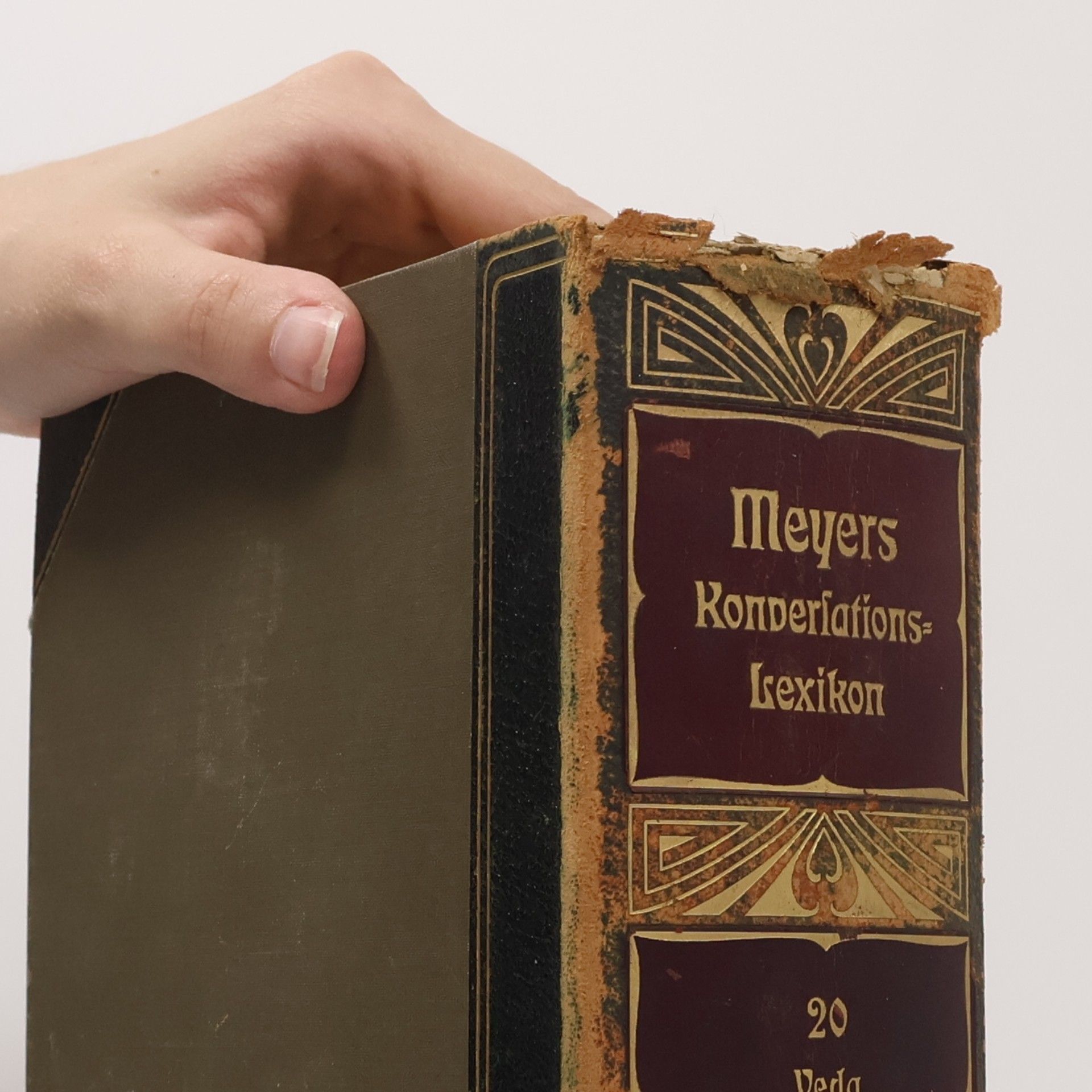Autorenkollektiv Meyers grosses Konversations-Lexikon 20