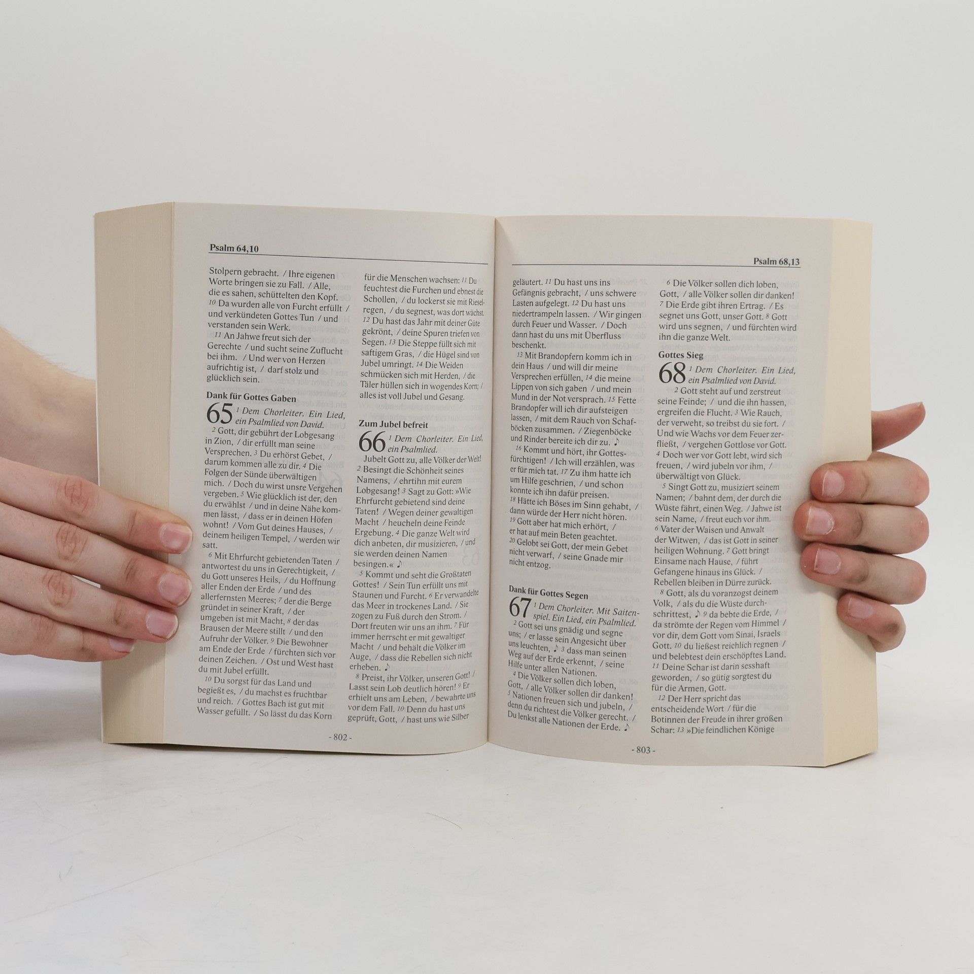 Autorenkollektiv Bibel.heute