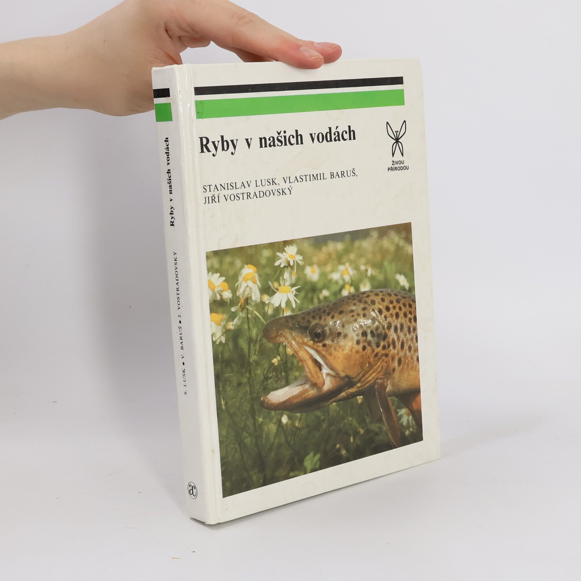 Ryby v našich vodách