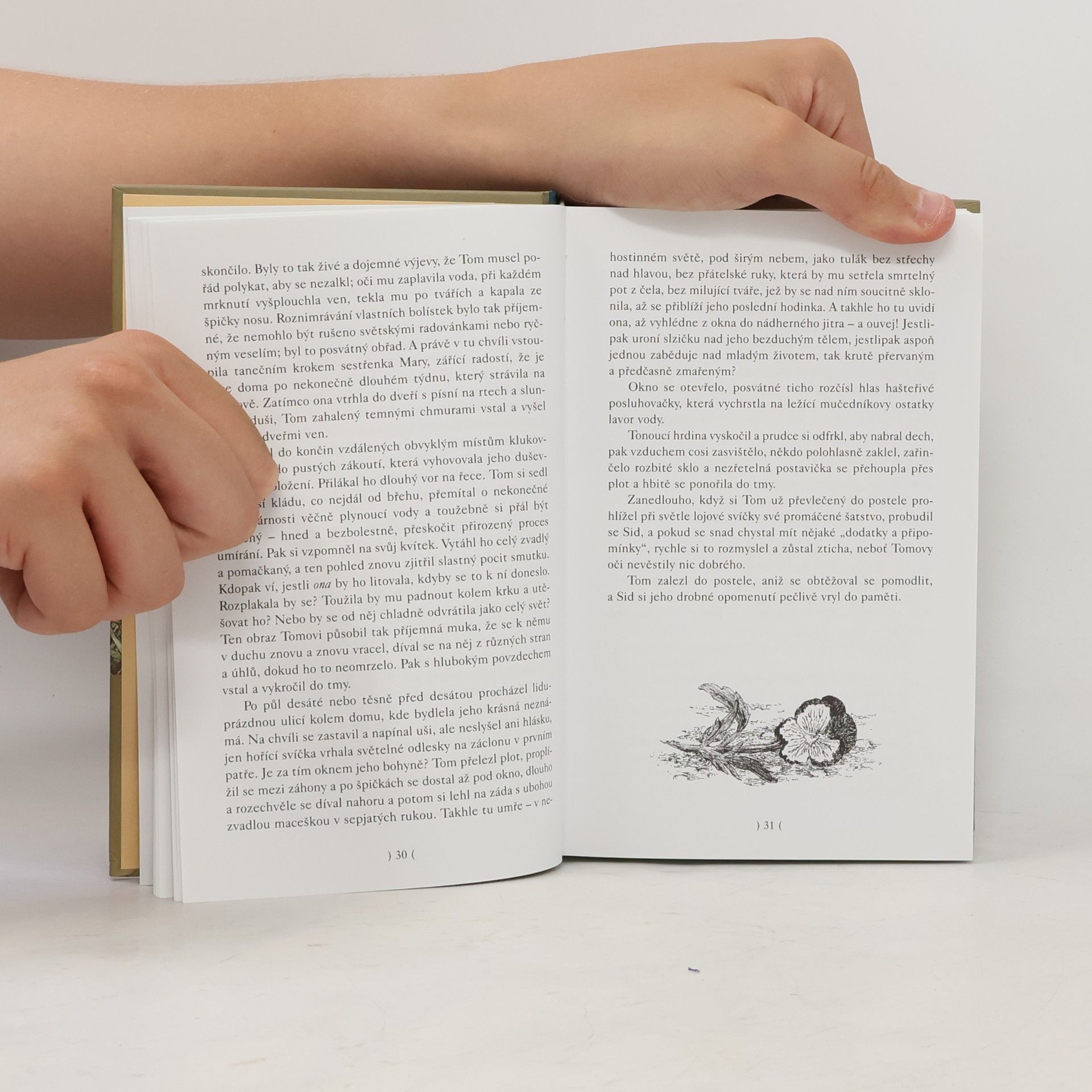 Mark Twain Dobrodružství Toma Sawyera