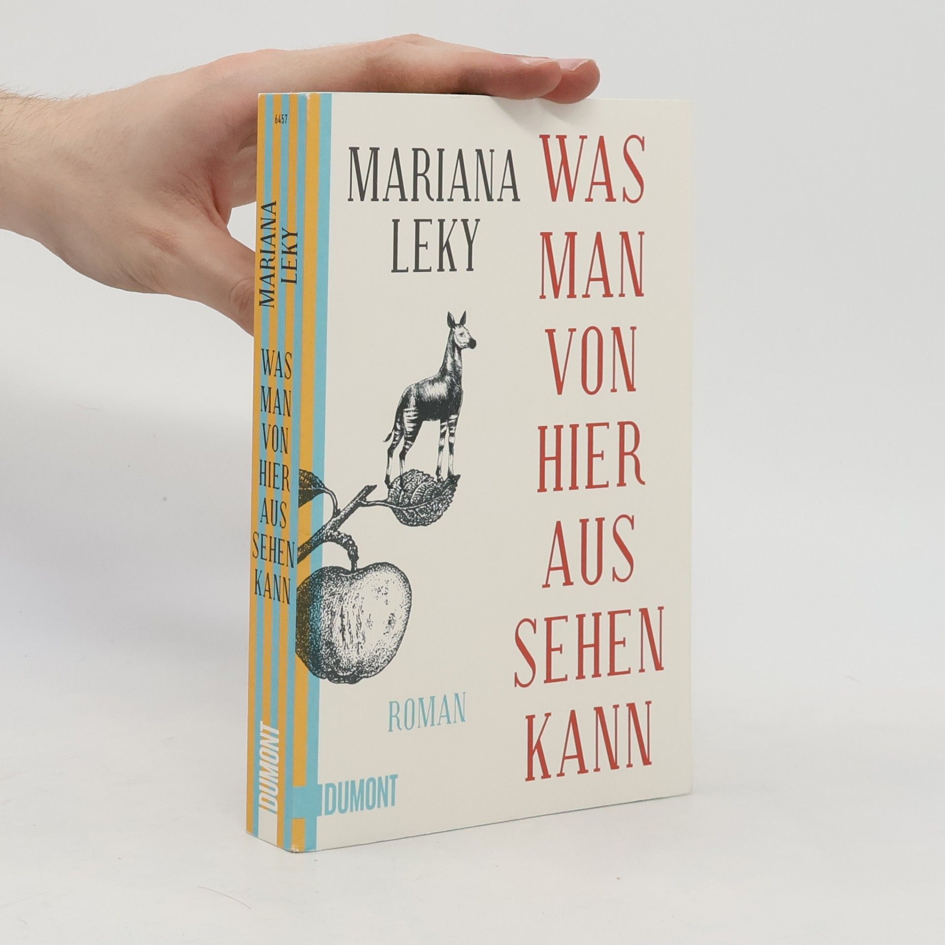 Mariana Leky Was man von hier aus sehen kann