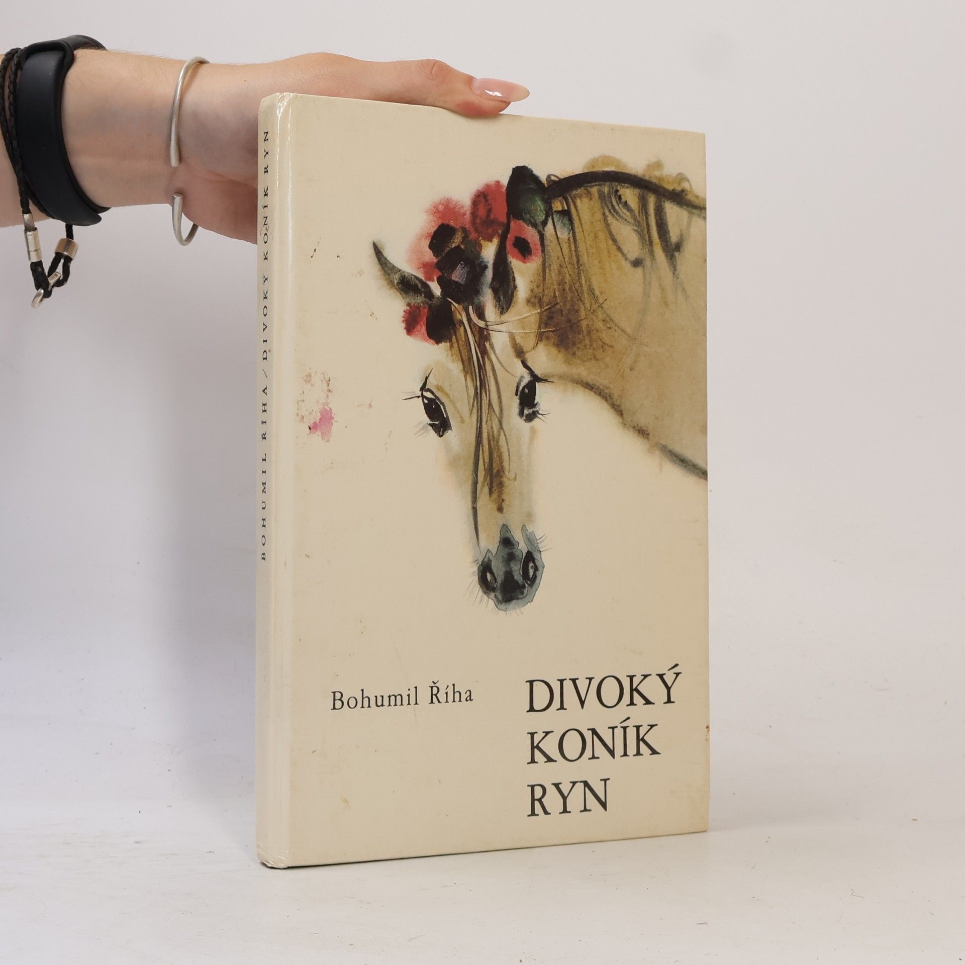 Bohumil Říha Divoký koník Ryn