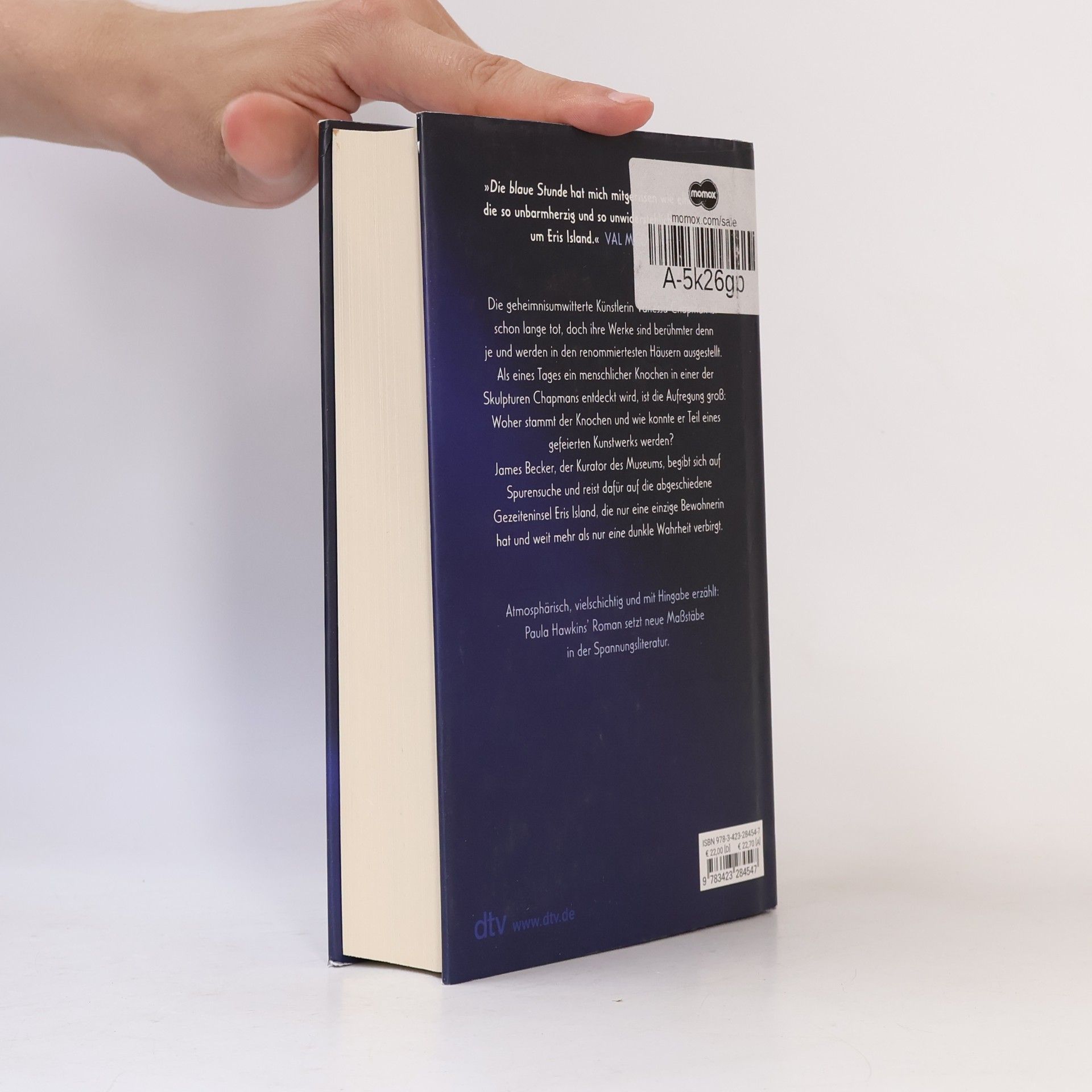 Paula Hawkins Die blaue Stunde