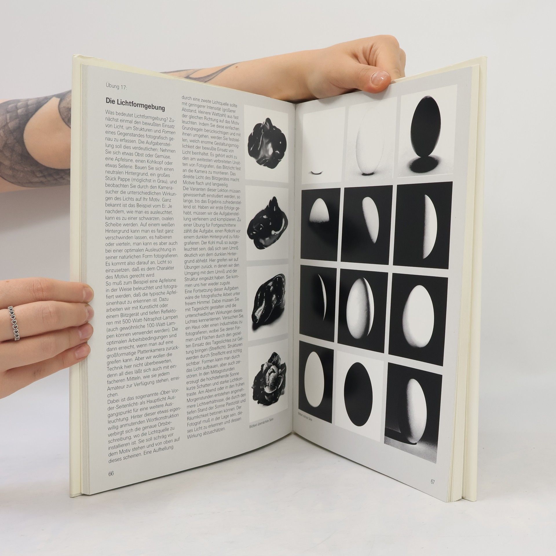 Willy Puchner Creativ Fotografieren - 2: Gestaltung mit Licht, Form und Farbe