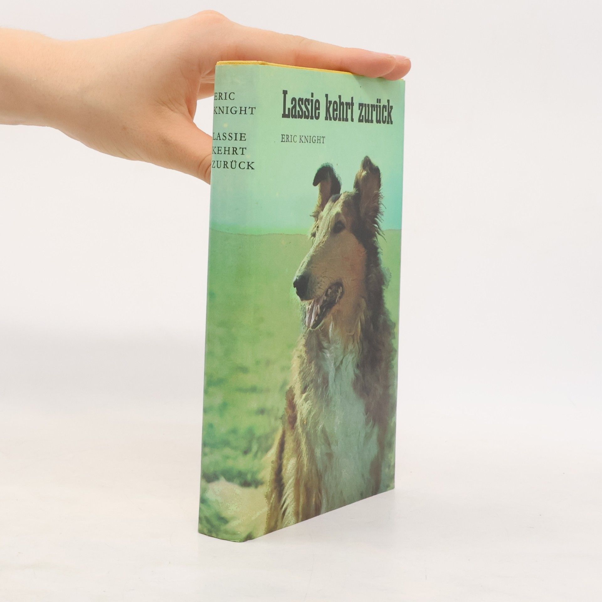 Eric Knight Lassie kehrt zurück