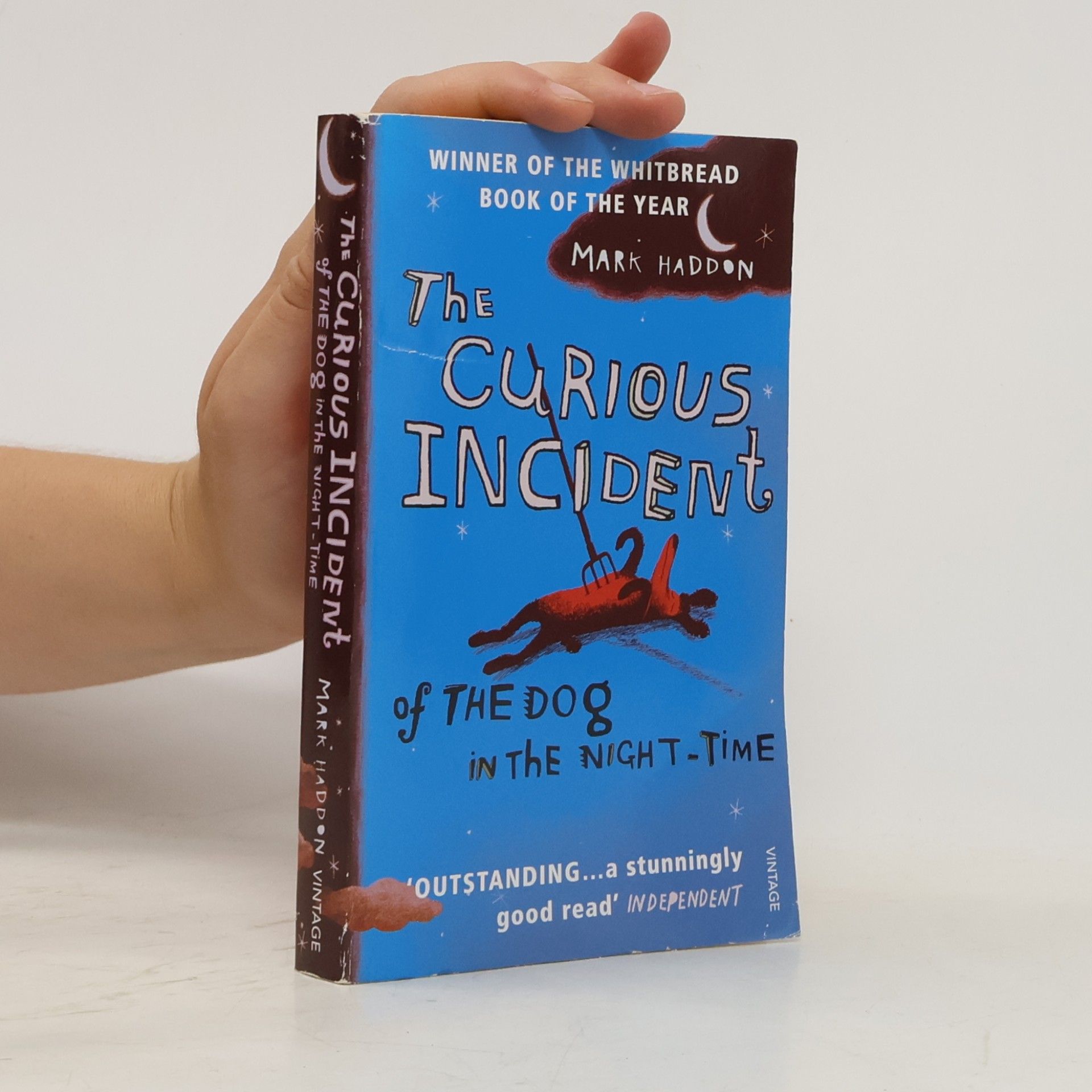 Mark Haddon The Curious Incident of The Dog in The Night-Time