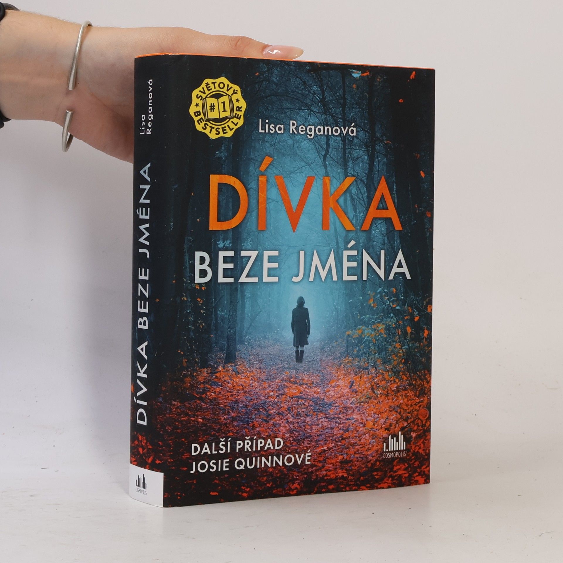 Lisa Regan Dívka beze jména: Další případ Josie Quinnové