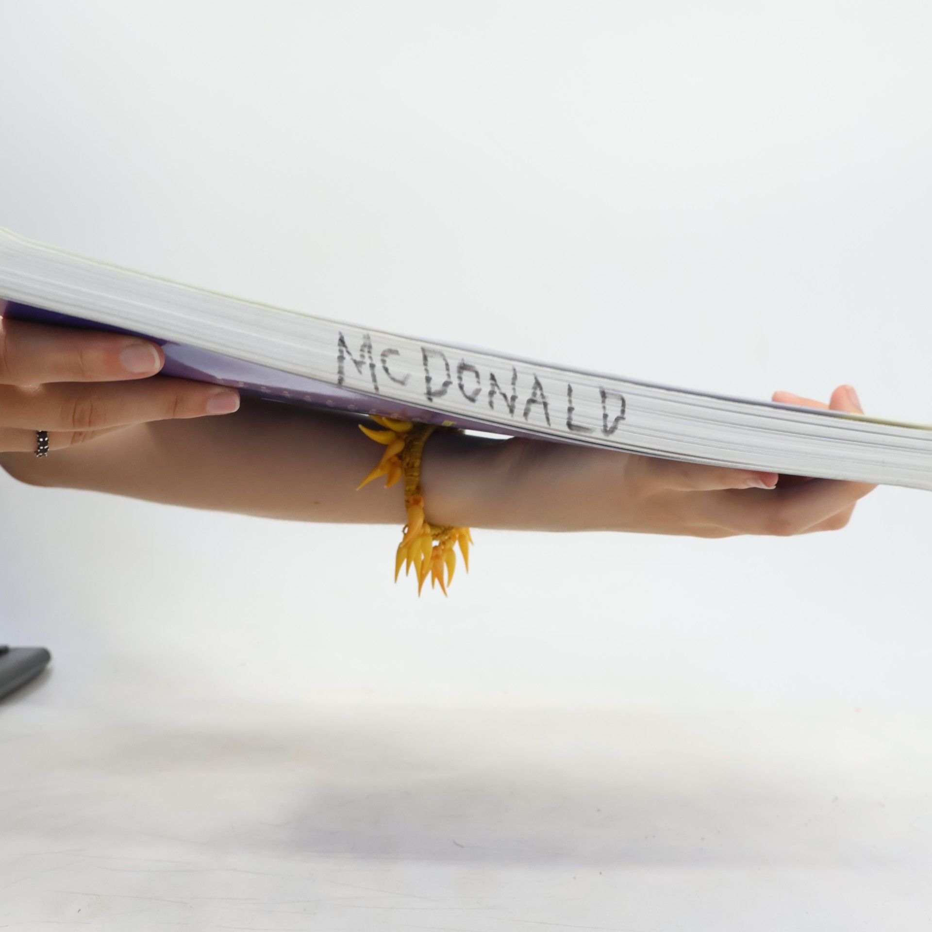 Candy Jones A Trainer's Guide to The Creative Curriculum for Preschool