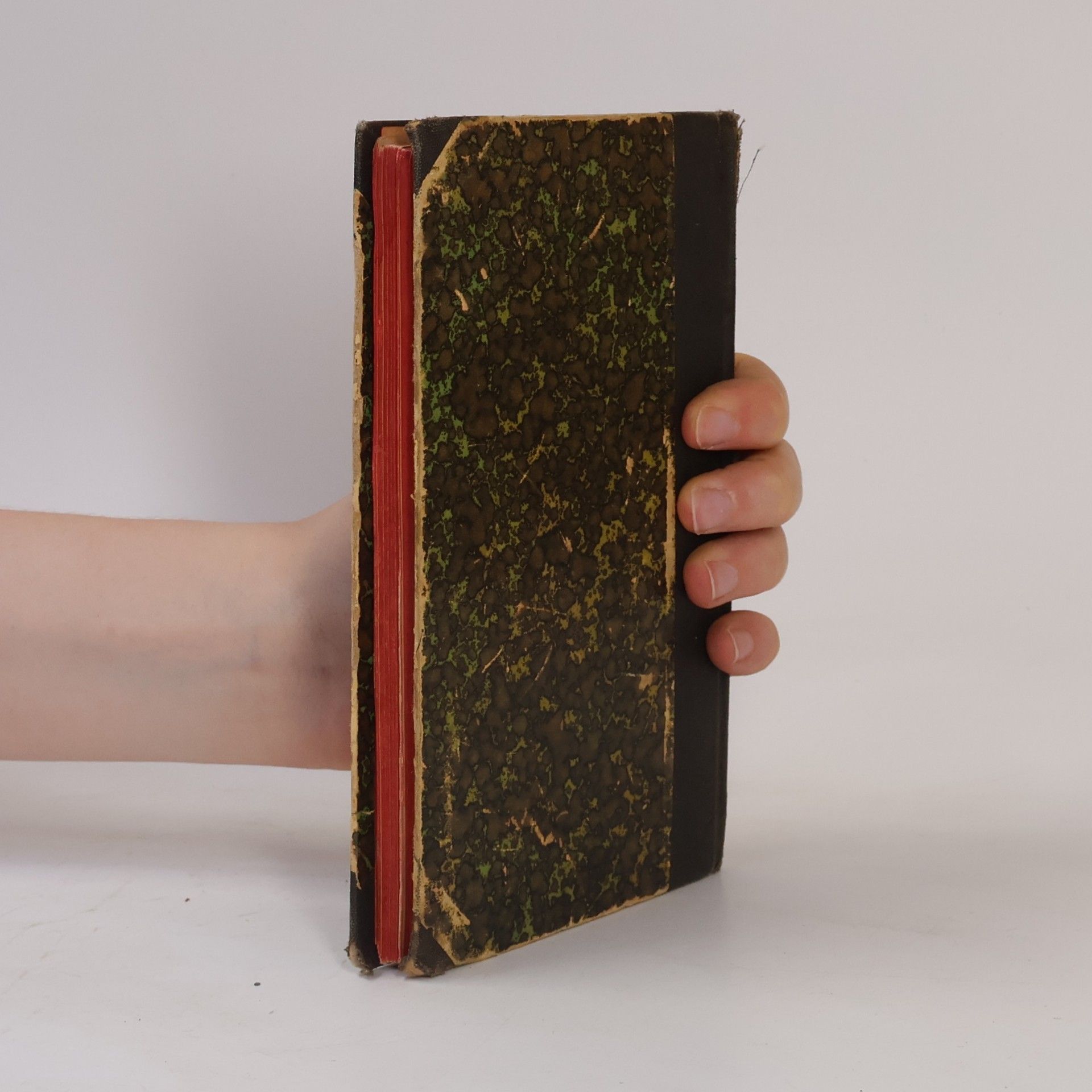 Autorenkollektiv Řád stavební ze dne 8. ledna 1889 pro království České