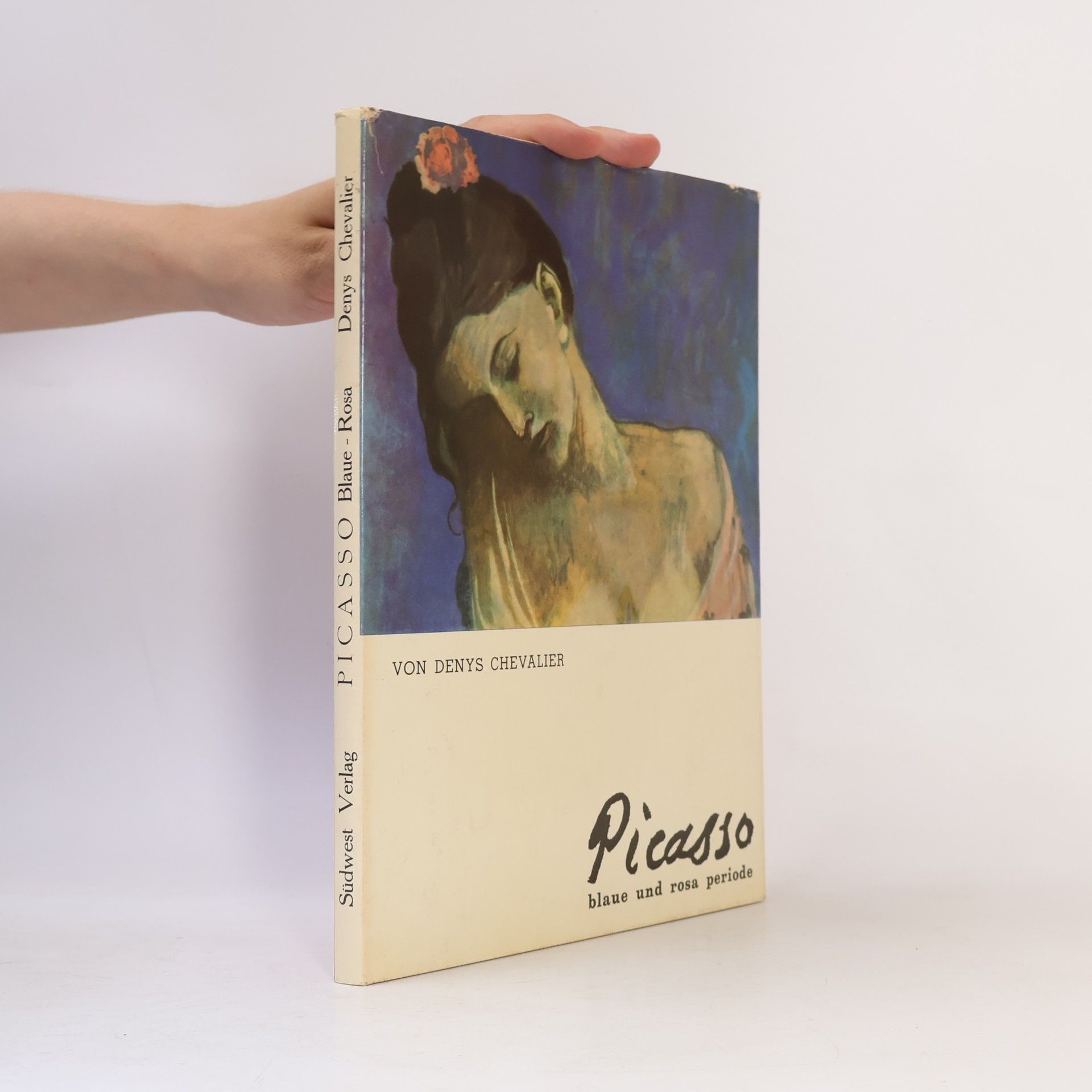 Picasso blaue und rosa periode
