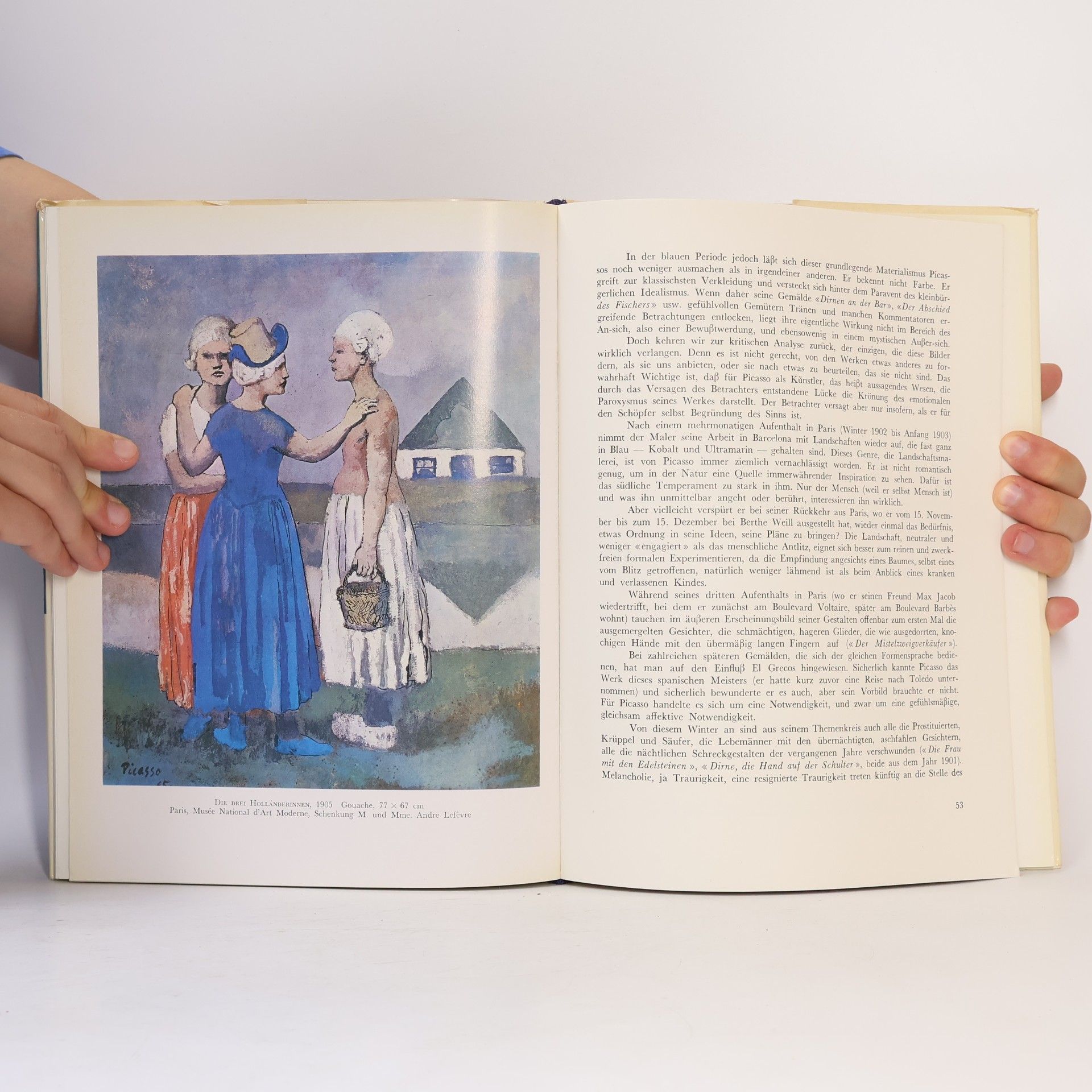 Denis Chevalier Picasso blaue und rosa periode