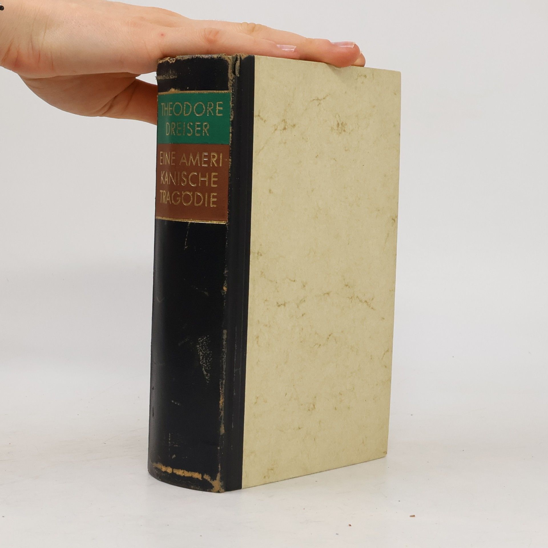 Theodore Dreiser Eine amerikanische Tragödie