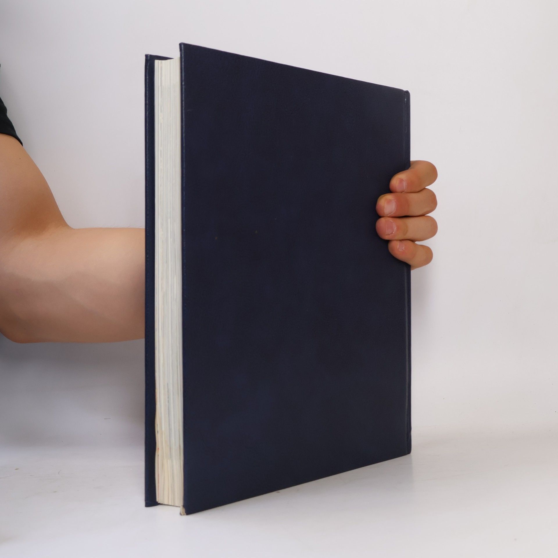 Matthias Stubhann Encyklopedie Bible. M-Ž