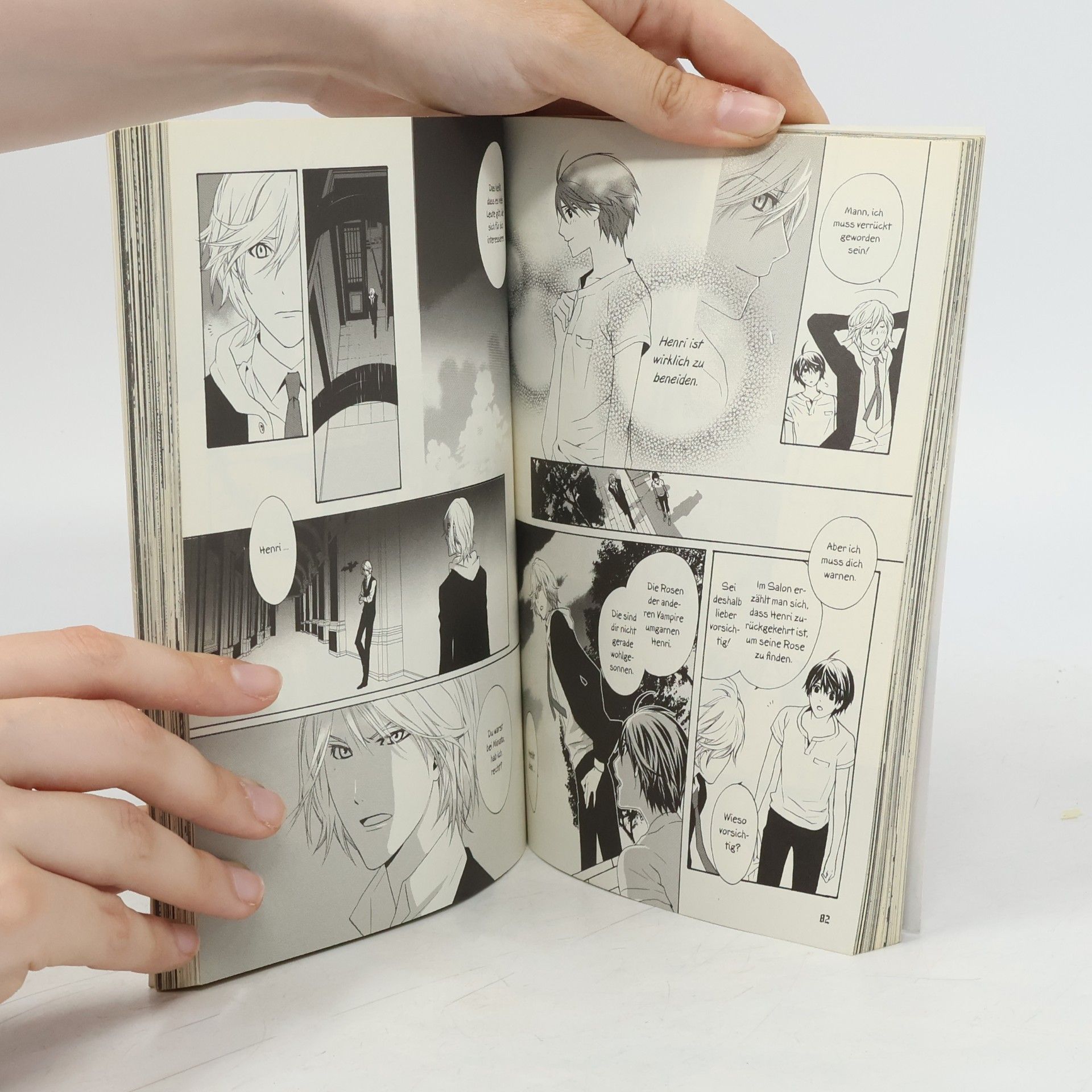 Misao Higuchi The vampire's prejudice