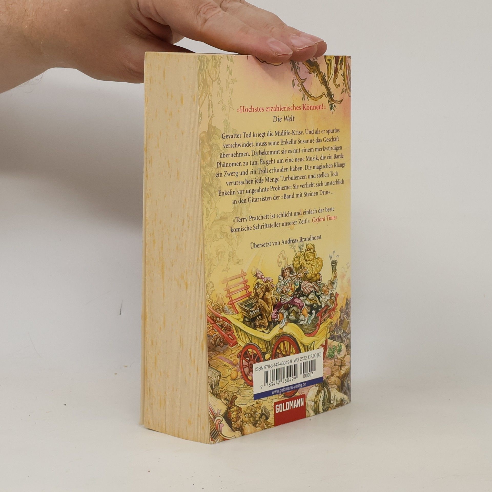 Terry Pratchett Rollende Steine